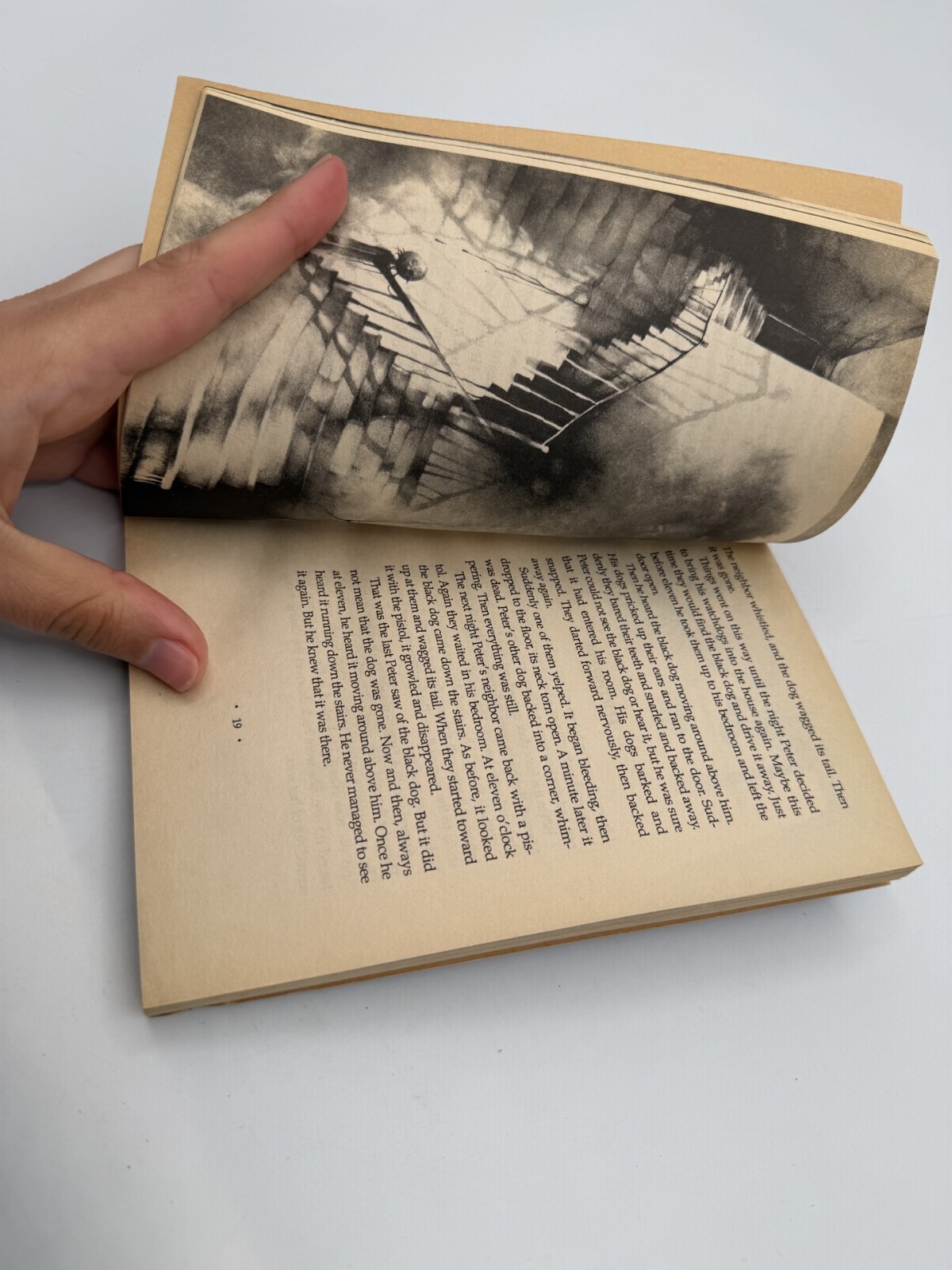 Scary Stories 3 More Tales to Chill Your Bones by Alvin Schwartz Stephen Gammell