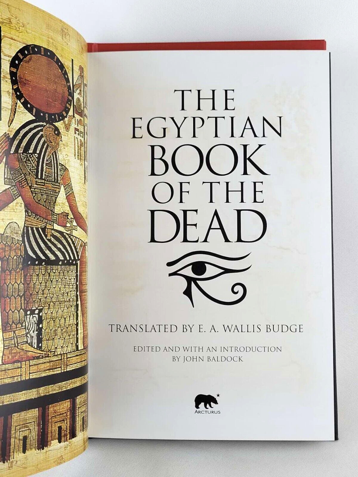 THE EGYPTIAN BOOK OF THE DEAD & TIBETAN BOOK OF THE DEAD Illustrated *Brand New*