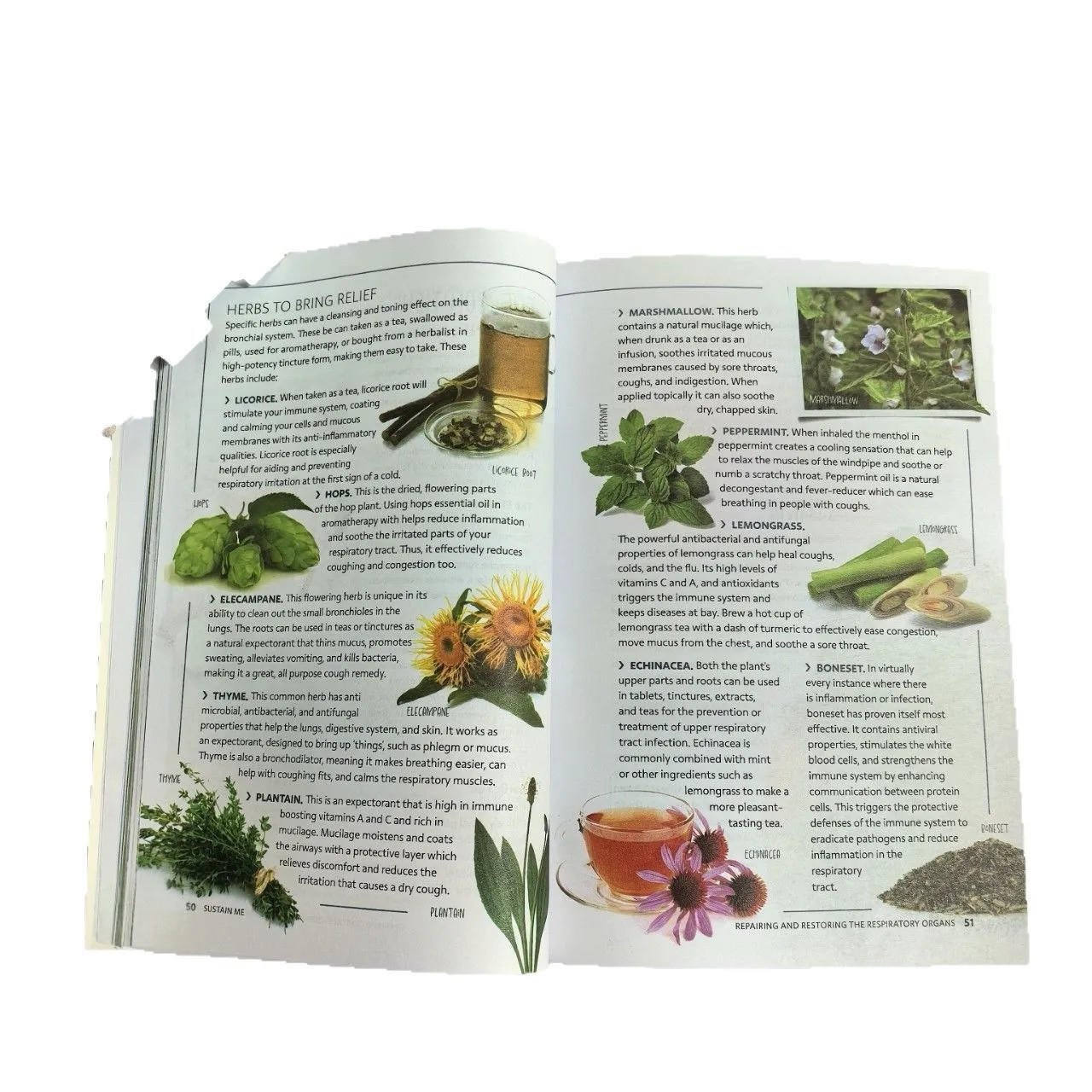 Sustain Me: A Handbook of Natural Remedies – it will reach to you in 25-30 days