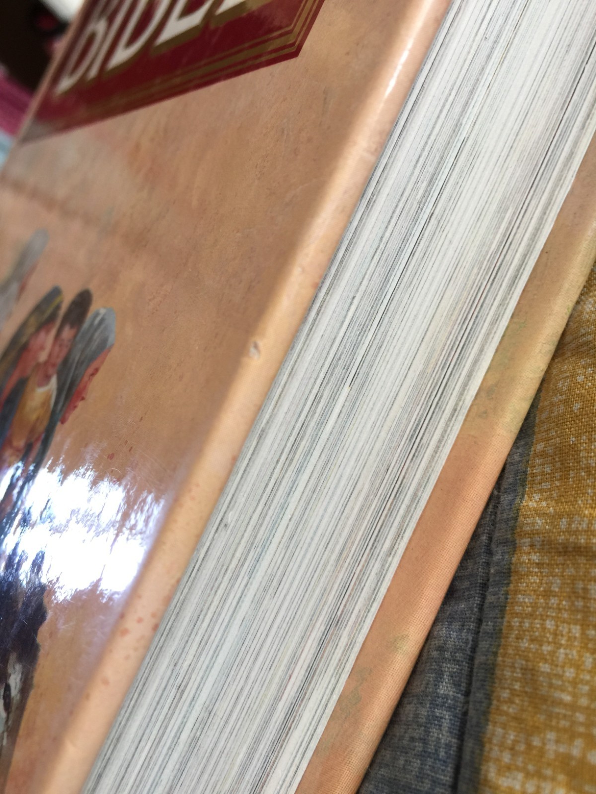 The Golden Children’s Bible: A Full-Color Bible for Kids Hardcover 512 Pages