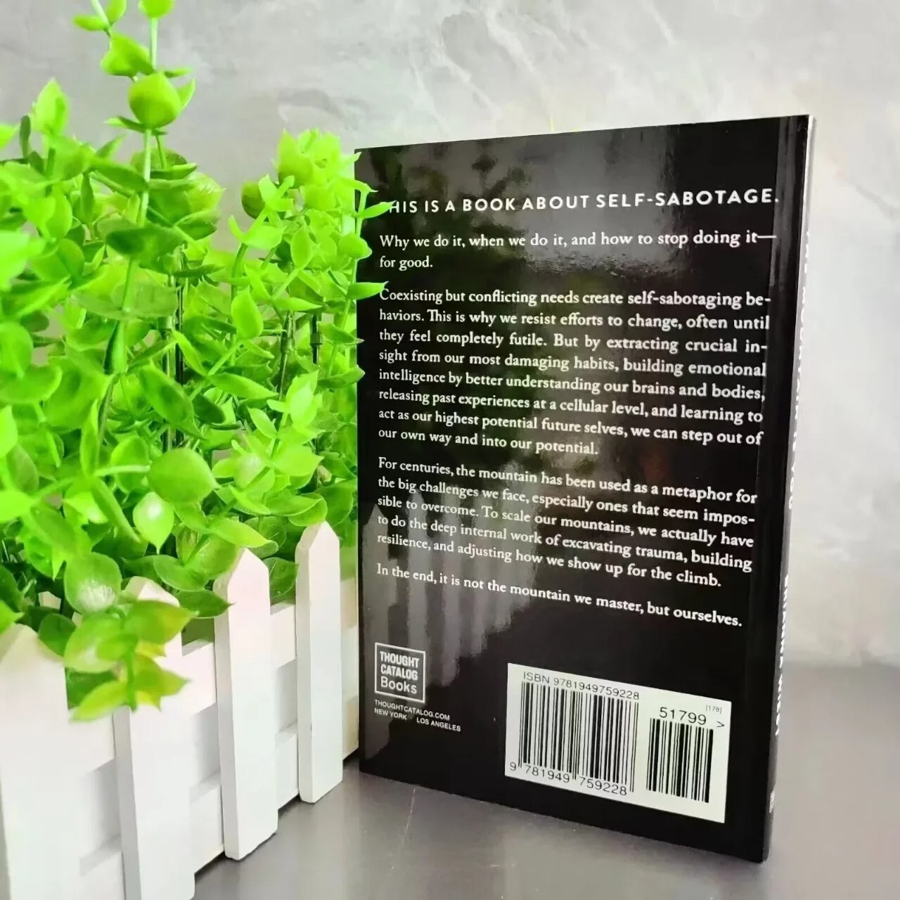 The Mountain is You By Brianna Wiest USA Stock Premium Quality Free Shipping