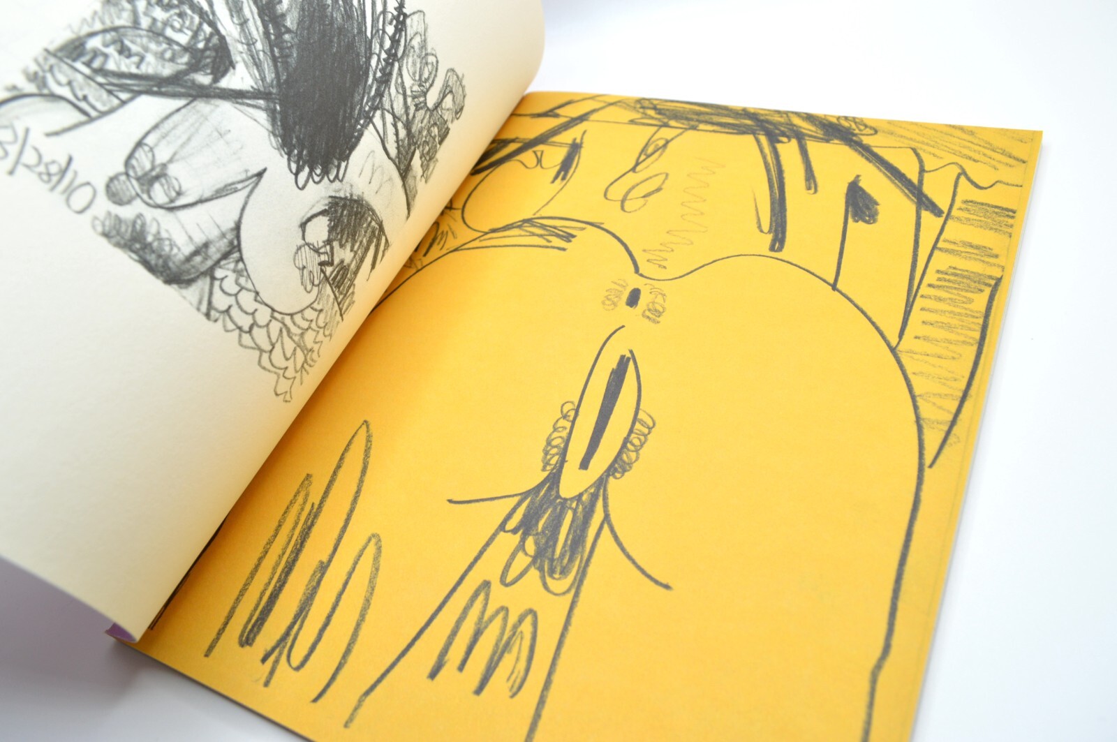 Carroll Dunham, Thought Process, PictureBox, Ltd Ed, 2013, Erotic Art, Like New