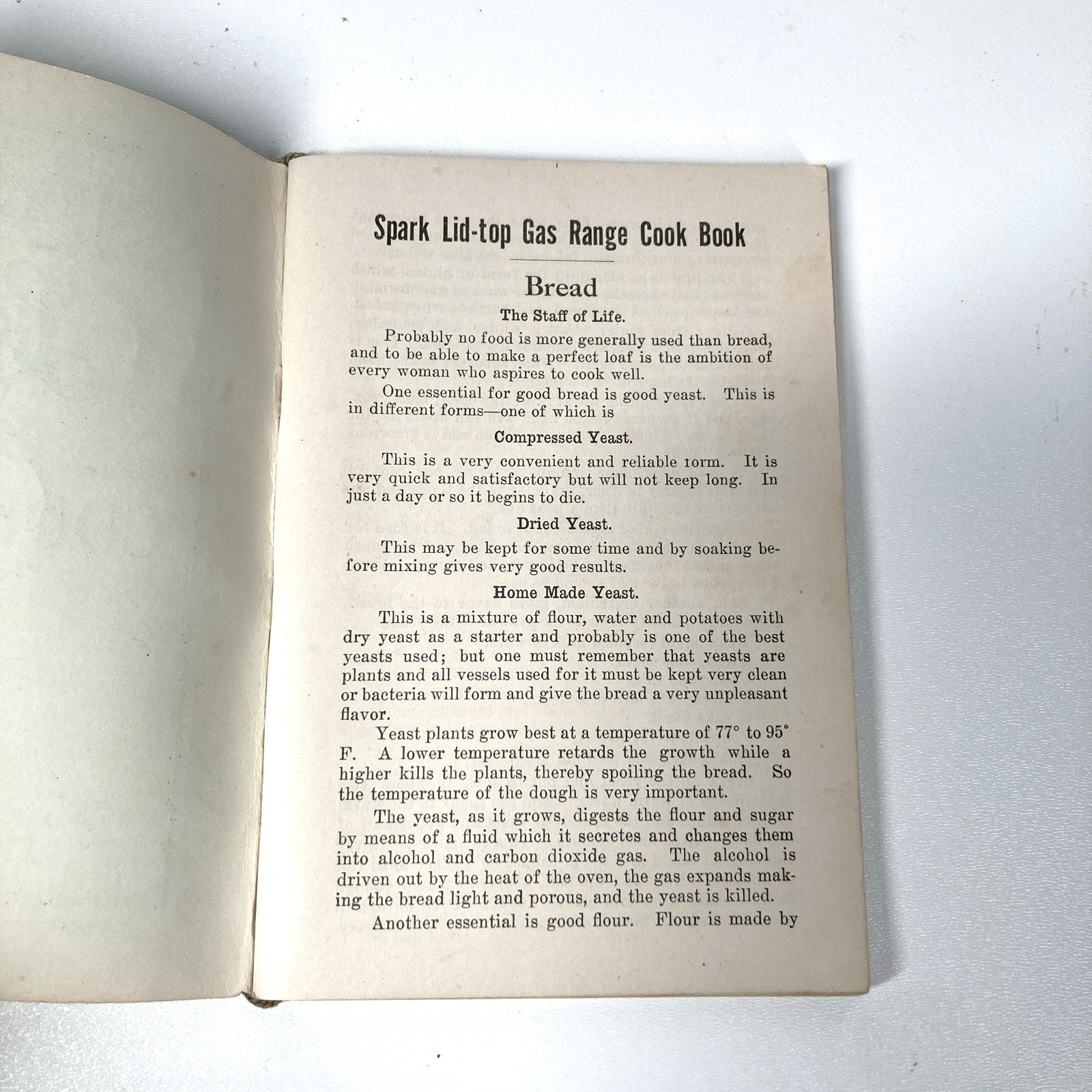 1924 Cookbook Spark Lid-top Gas Range by Leila Adams 128 Pages – Pristine Inside