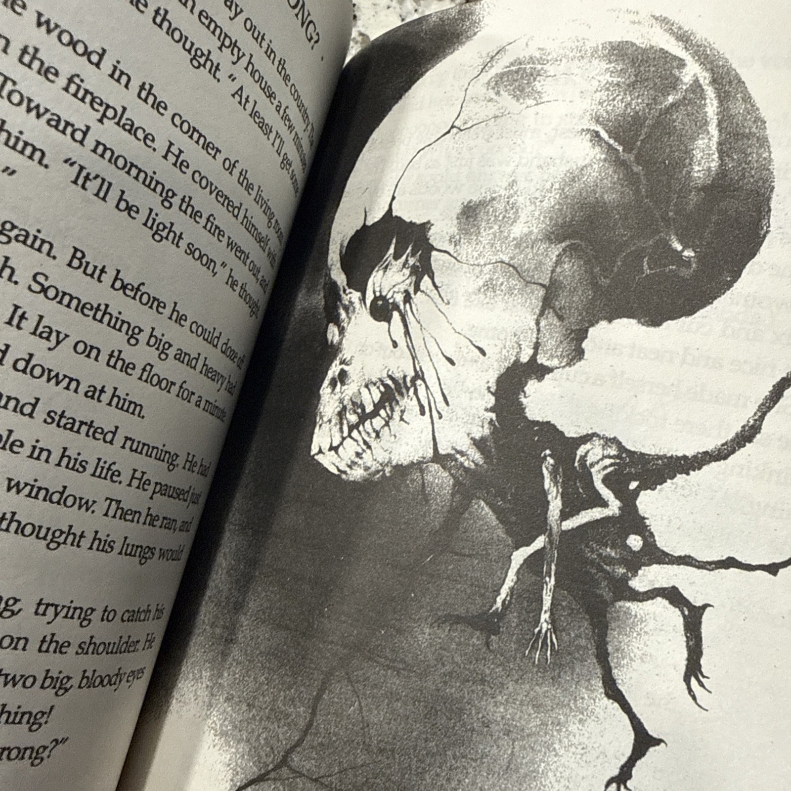 Scary Stories to Tell in the Dark Book Set 1 2 3 By Alvin Schwartz