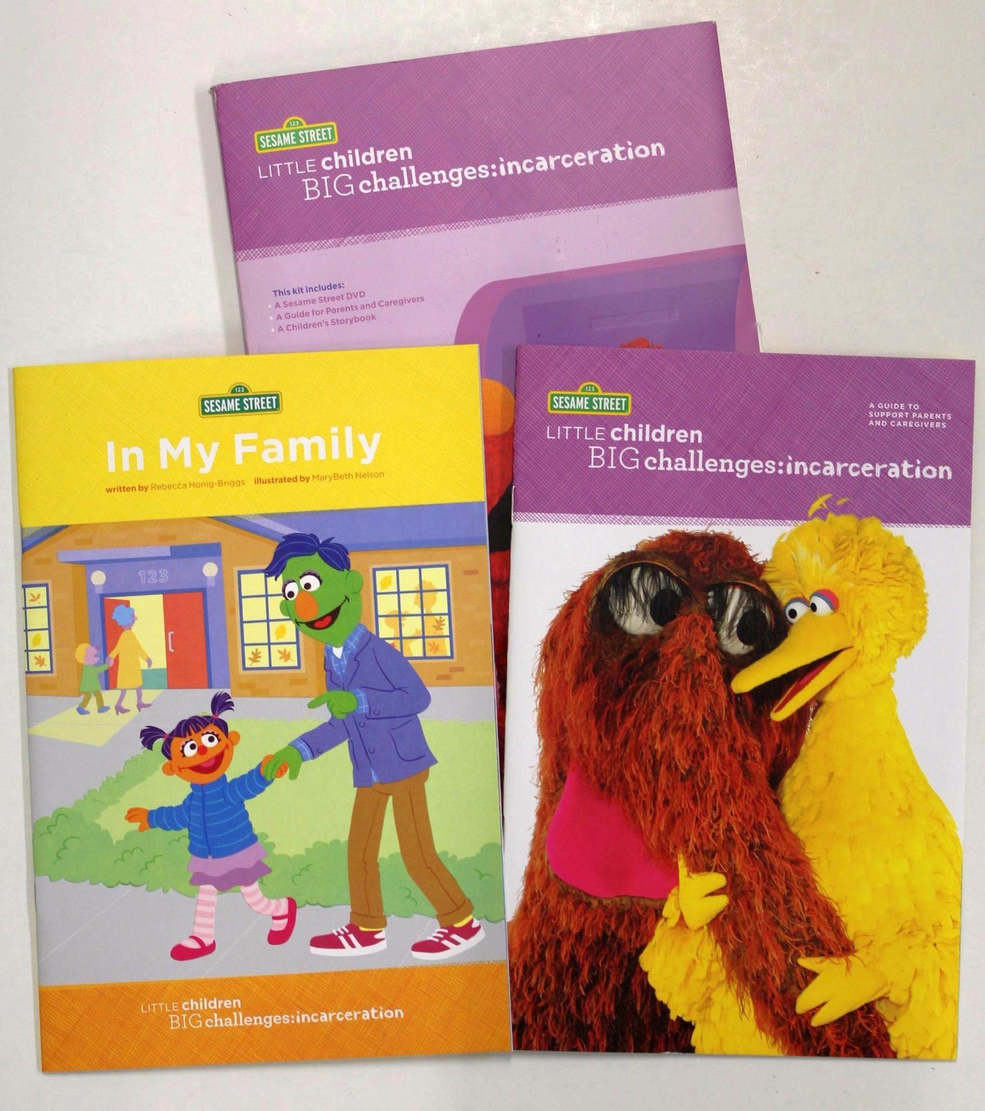 Sesame Street Little Children Big Challenges:Incarceration Ages 4-8 Book/DVD Kit