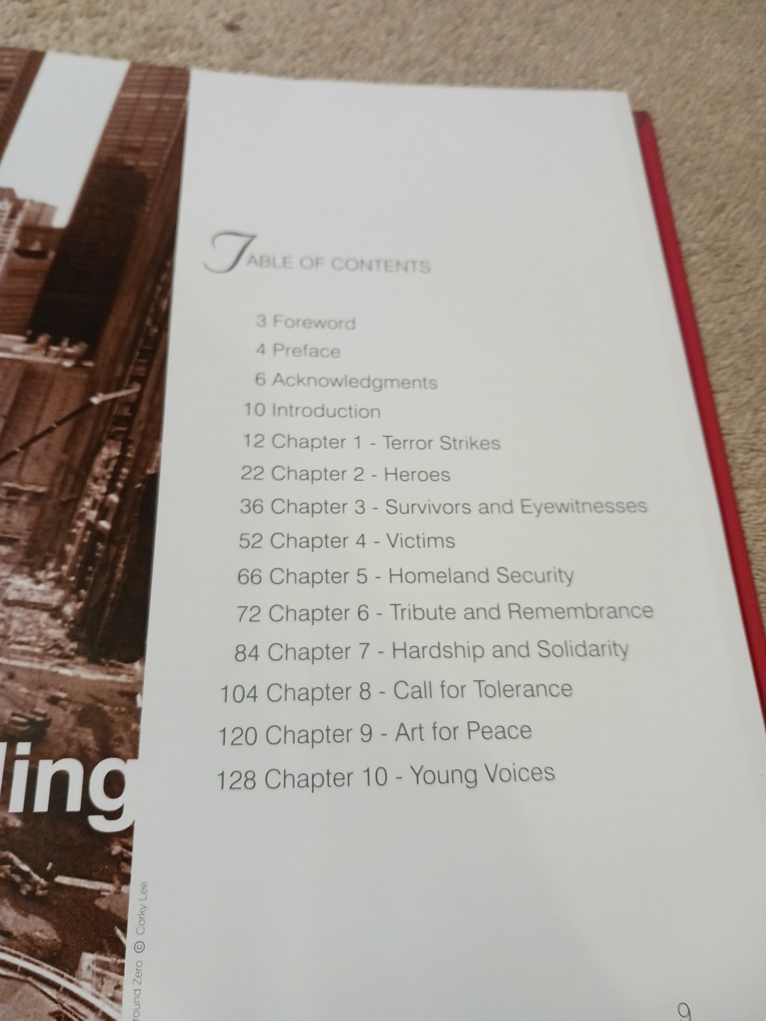 Voices of Healing : Spirit and Unity after 9/11 in the Asian American Pacific