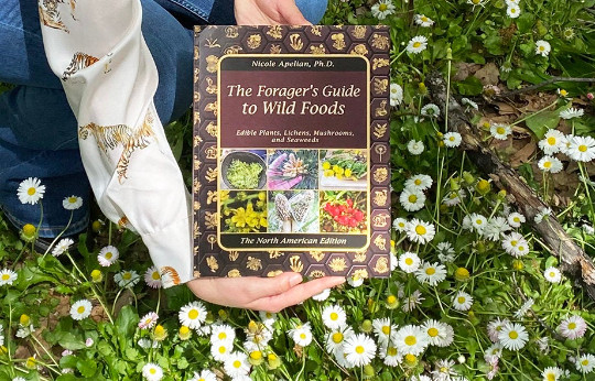 The Forager’s Guide to Wild Foods (paperback with color pictures)