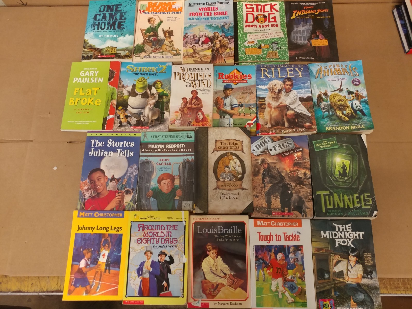 Lot of 20 Chapter Books for BOYS Youth Early Reader Young Adults Children RANDOM