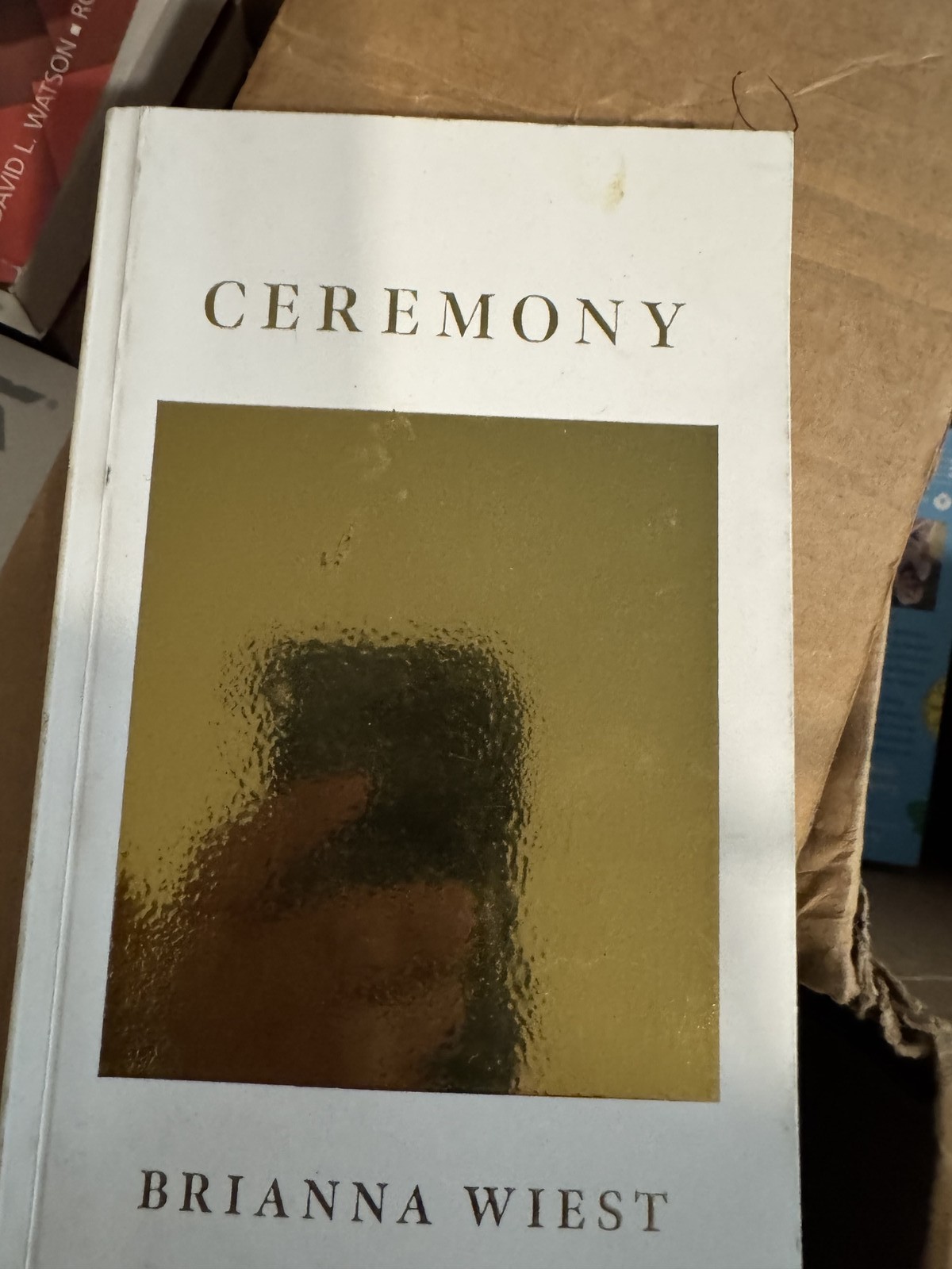 Ceremony by Brianna Wiest – Thought Catalog Books – Poetry/Self-Help
