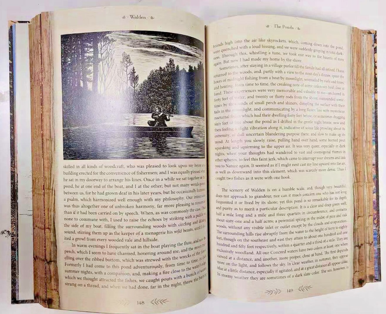 THE ILLUSTRATED WALDEN or Life in the Woods Henry David Thoreau Illustrated NEW