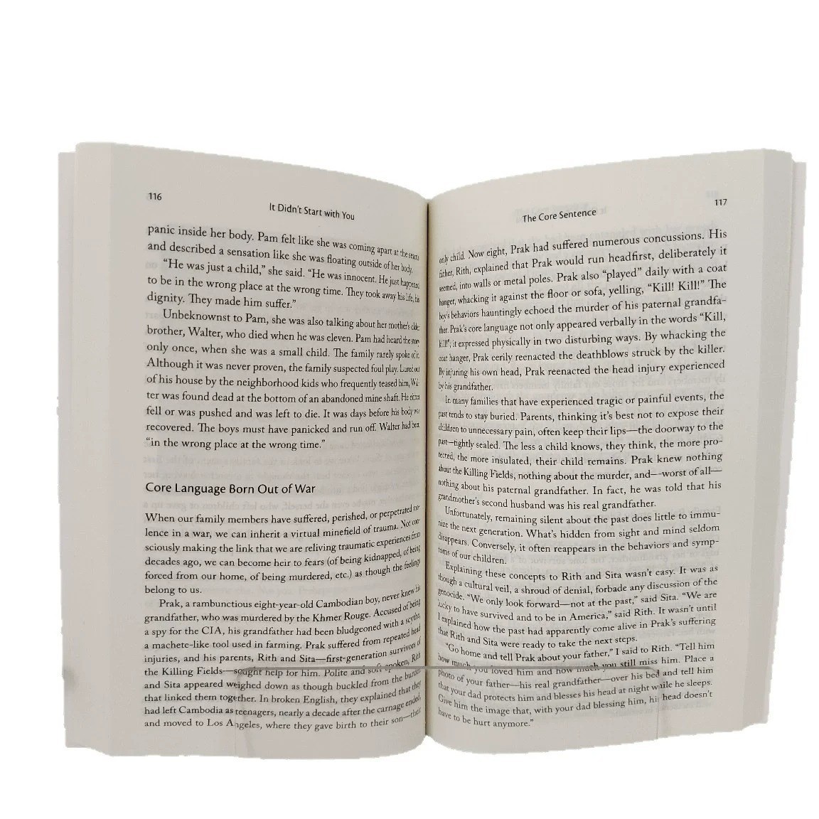 It Didn’t Start With You Mark Wolynn Family Trauma Healing English Book