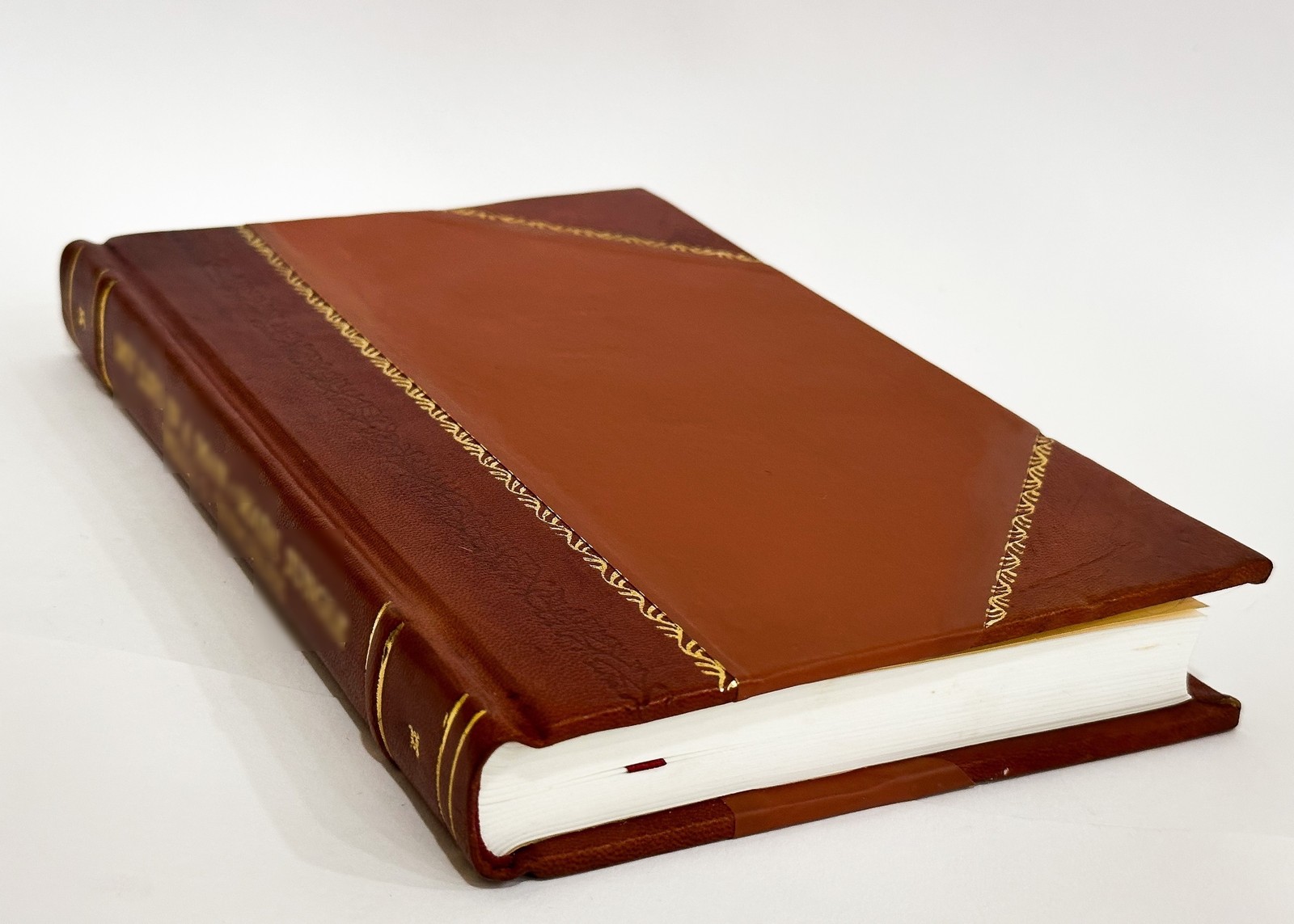 Our Heritage (A Romance of the Sierras) in Five Books by Thomas [Leather Bound]