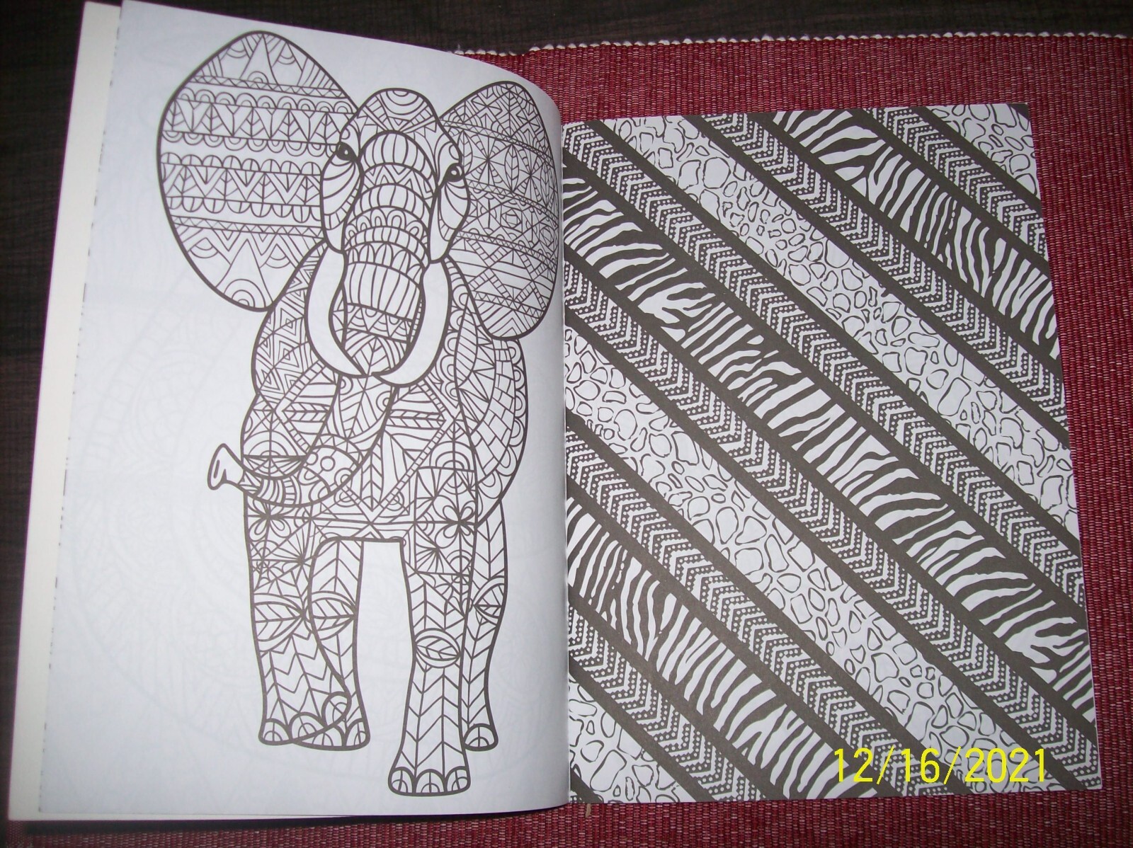 Unbranded Animals Come Alive Adult Coloring Book – New