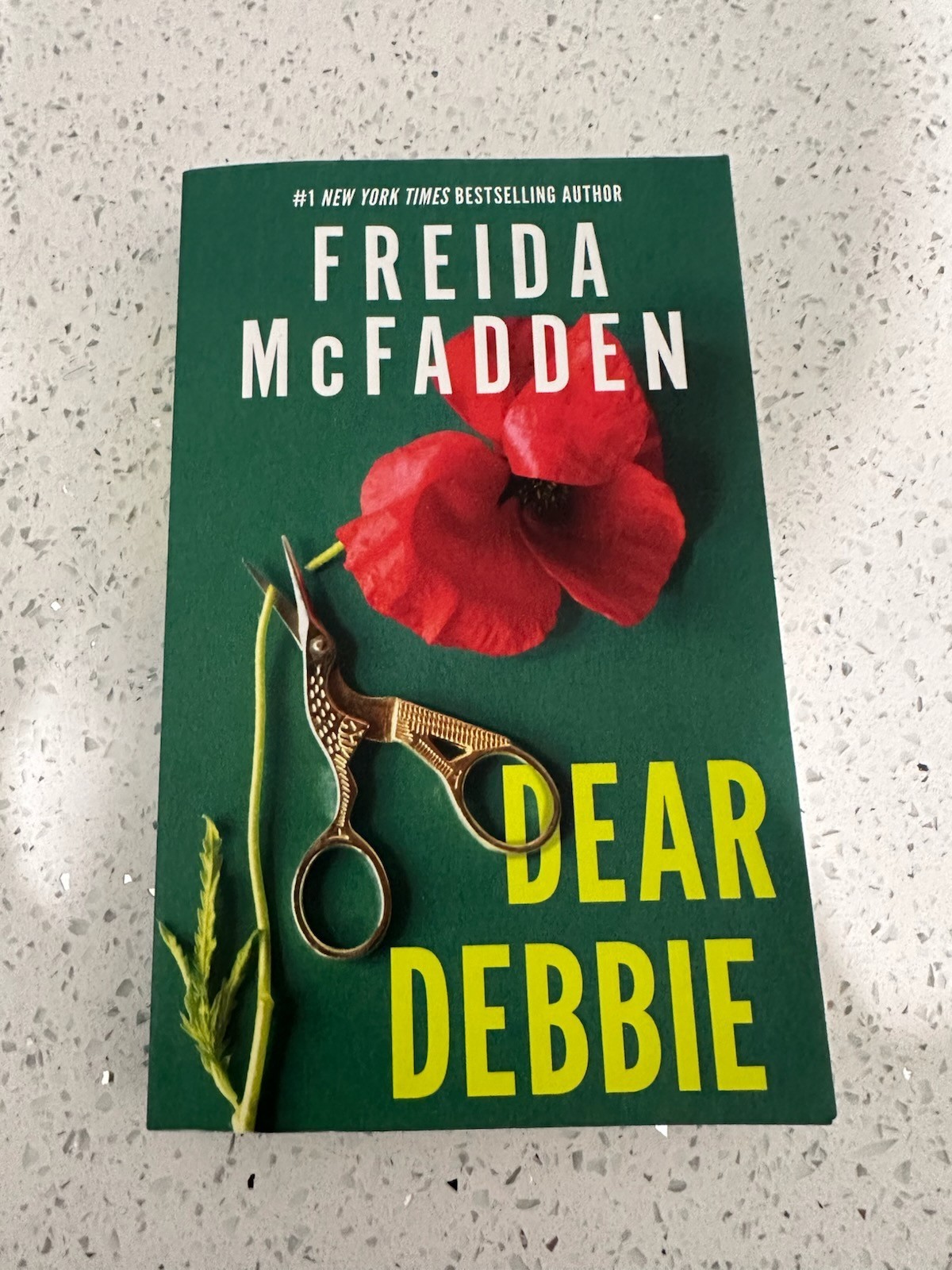 Dear Debbie by Freida McFadden (Paperback) New, excellent condition