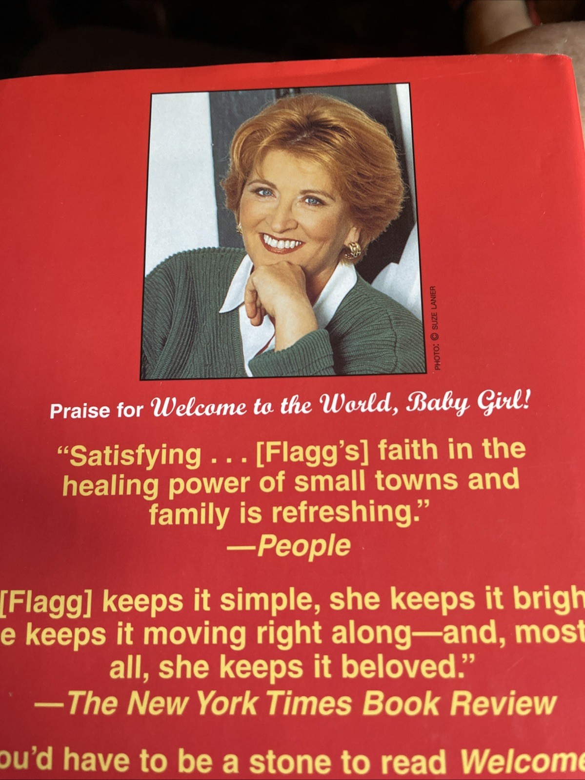A Redbird Christmas by Fannie Flagg: Large Print HB DJ 2004