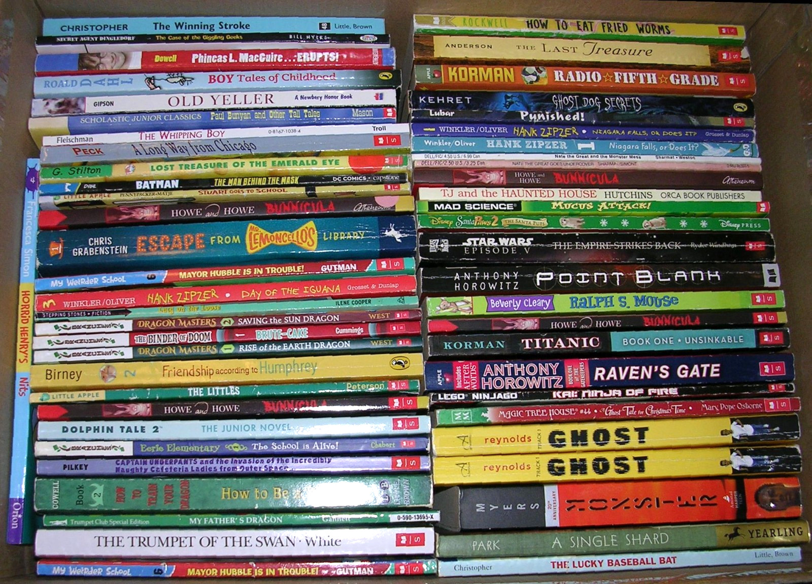 Random Lot 20 BOYS Reading Level 3rd 4th 5th Grade Chapter Books FREE SHIP