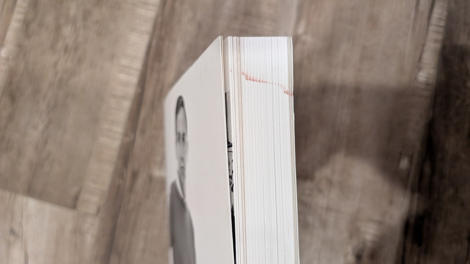 Robert Rauschenberg: Combines 2005 PB MONOGRAPH Art Book – Tate/MoCA
