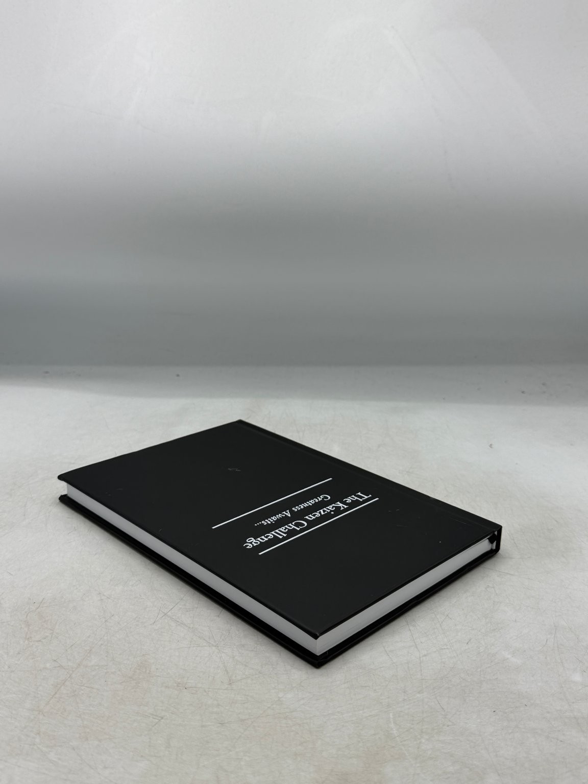 The Kaizen Challenge 2024 Journal Workbook Self-Improvement Hardcover