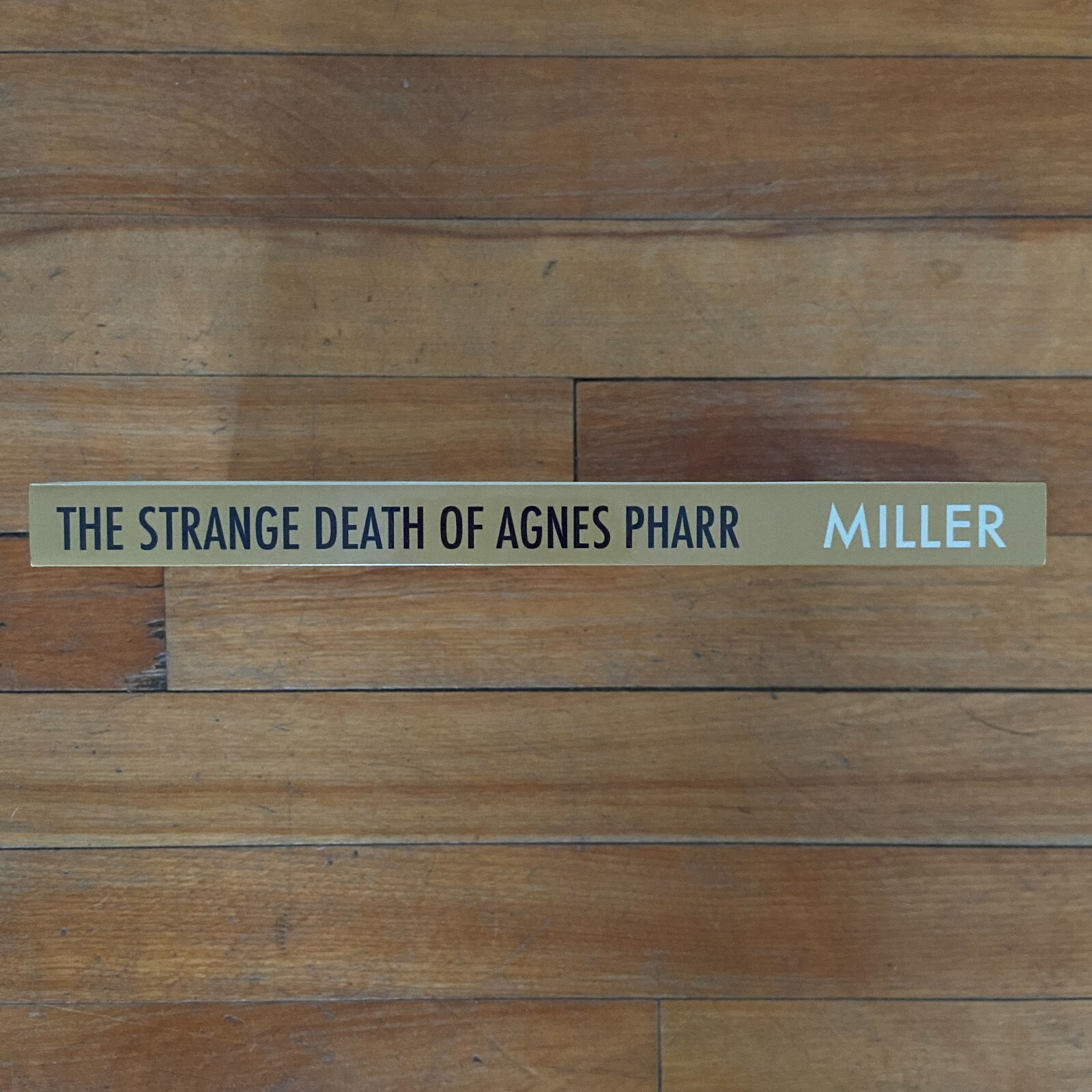 The Strange Death of Agnes Pharr Paperback 2021 Caroline S. Miller