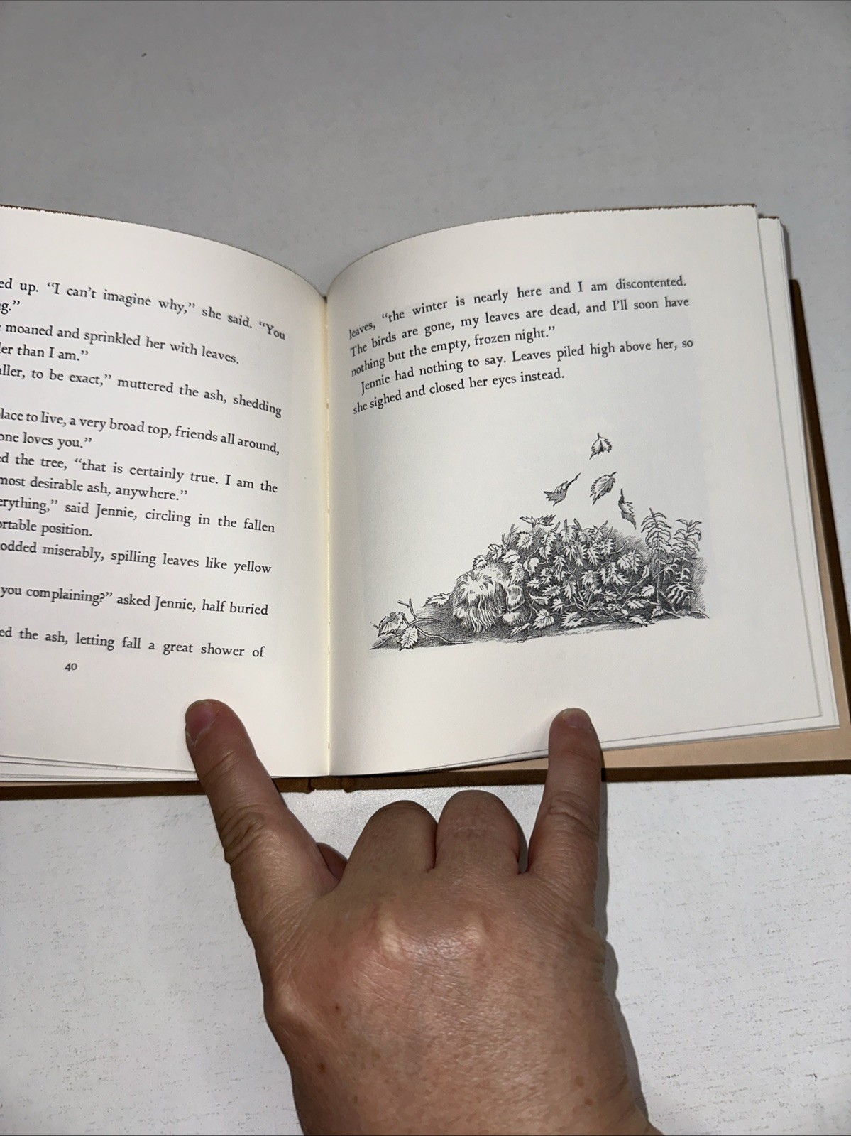 HIGGLETY PIGGLETY POP! Maurice Sendak 1st Edition Harper & Row 1967