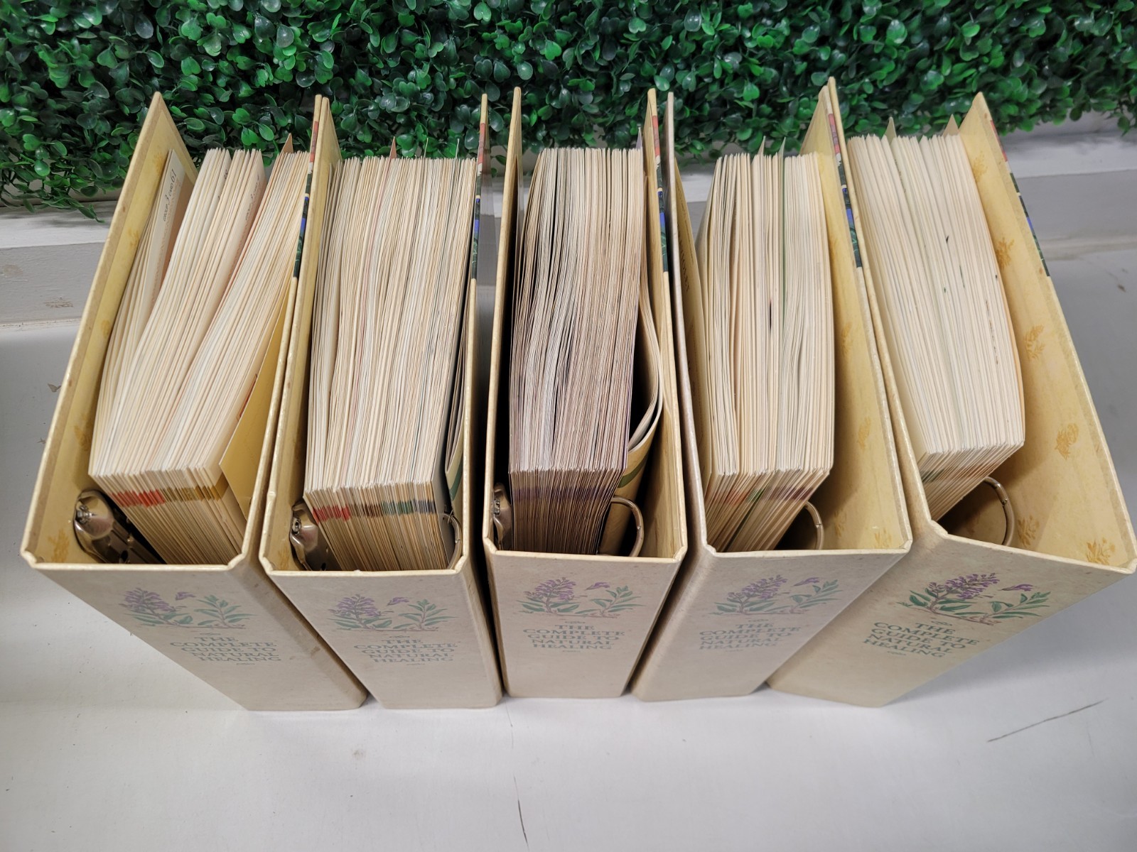 The Complete Guide to Natural Healing Alternative Medicine All 5 Books