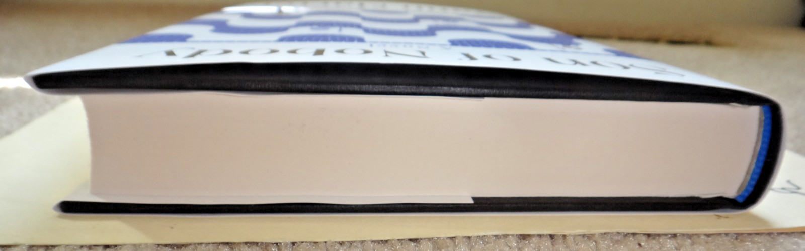 Yann Martel SIGNED Son of Nobody (2026, Hardcover)