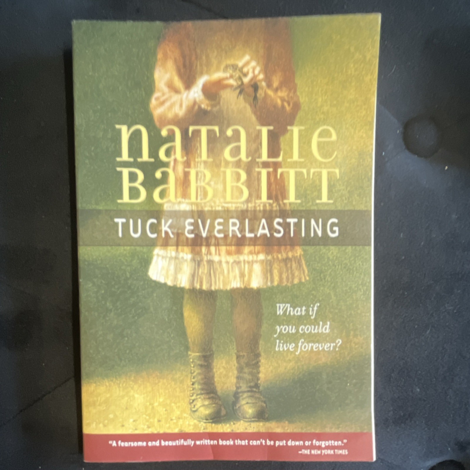 Square Fish Tuck Everlasting by Natalie Babbitt Paperback Immortality Family