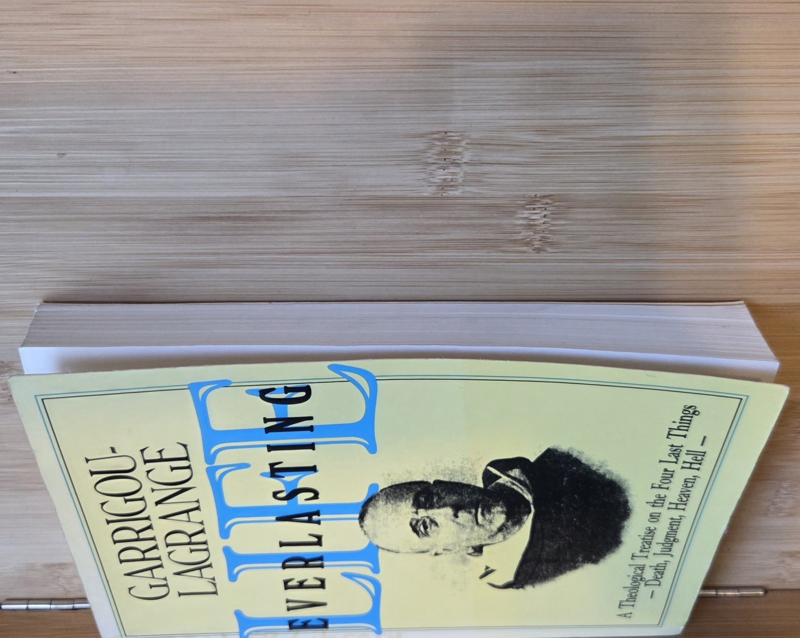 Life Everlasting and the Immensity of the Soul: A Theological Treatise