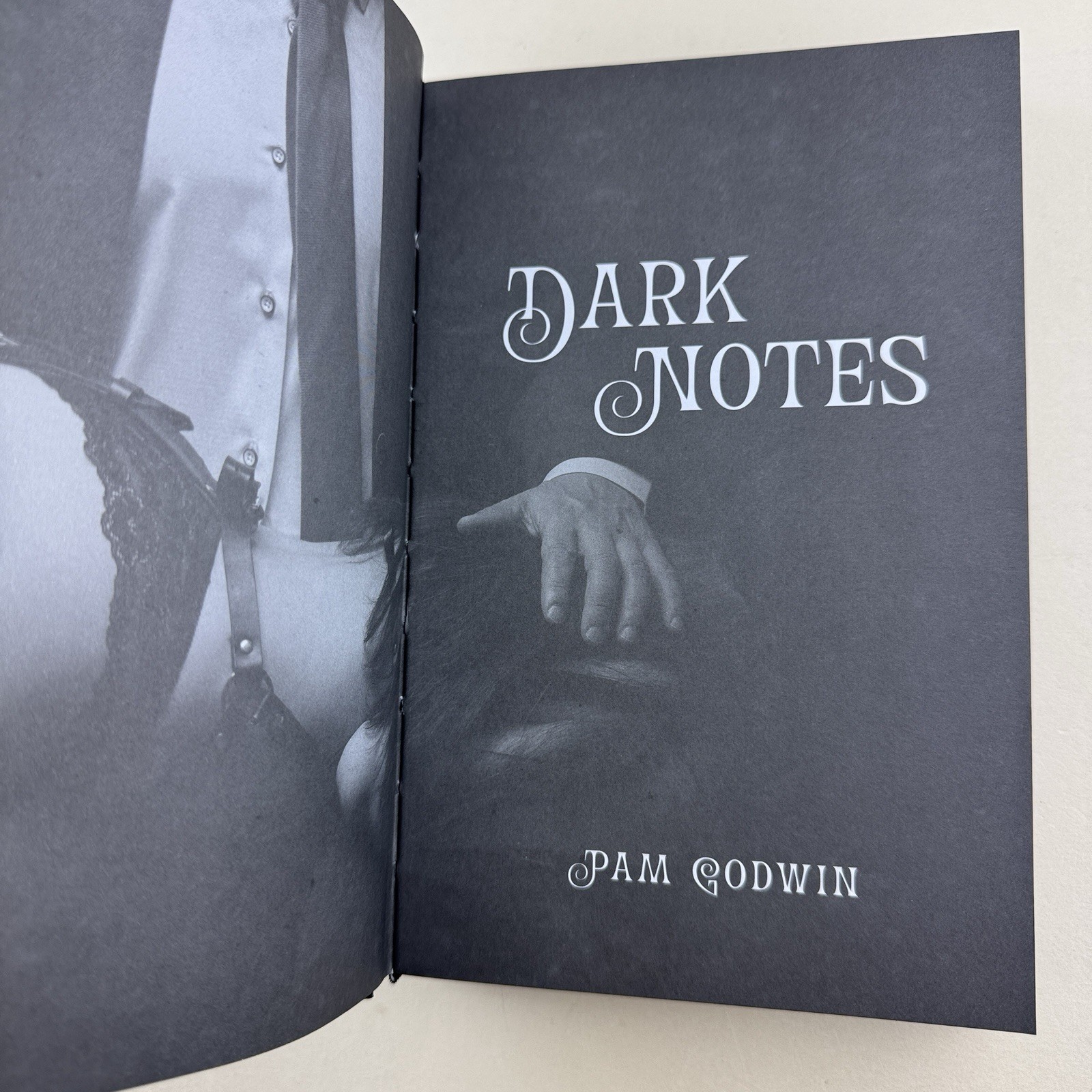 Blackout Romance Pam Godwin Dark Notes Special Edition Hardcover New