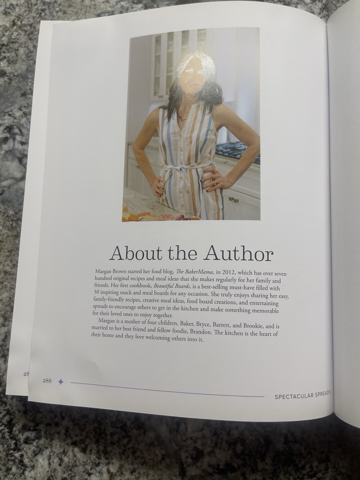 Spectacular Spreads by Maegan Brown (2020s, Hardcover, Rock Point, Cookbook)