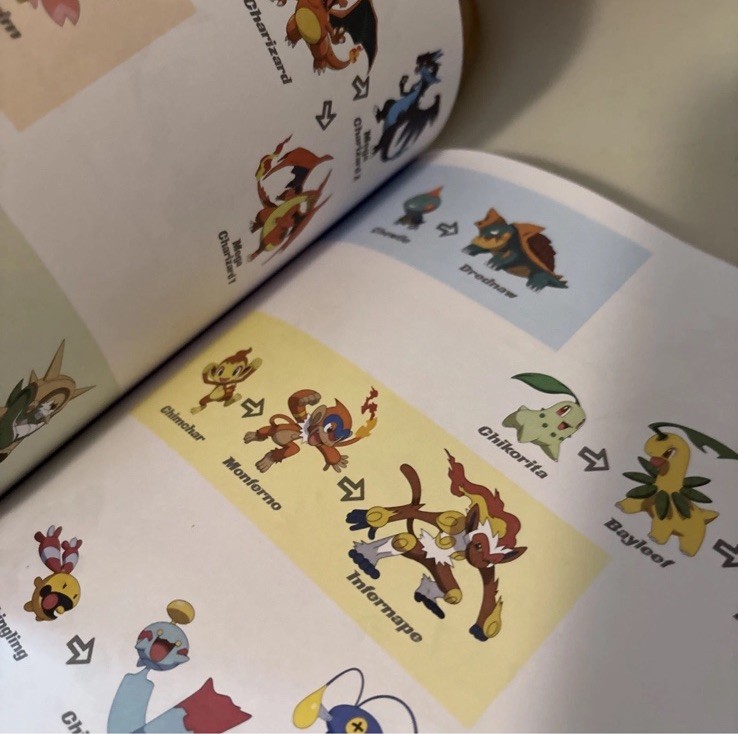 Pokémon The Essential Trainer Manual Book 288 Pages Preowned