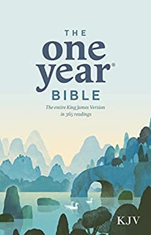 The One Year Perfect