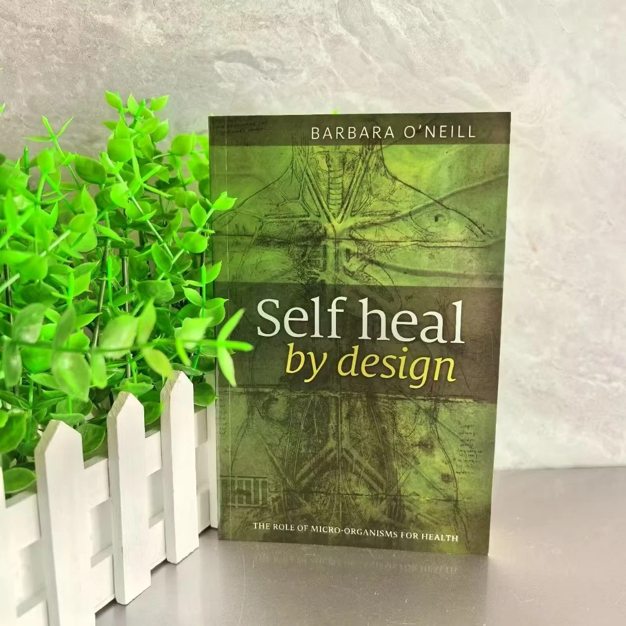Self Heal by Design book by Barbara O’Neill