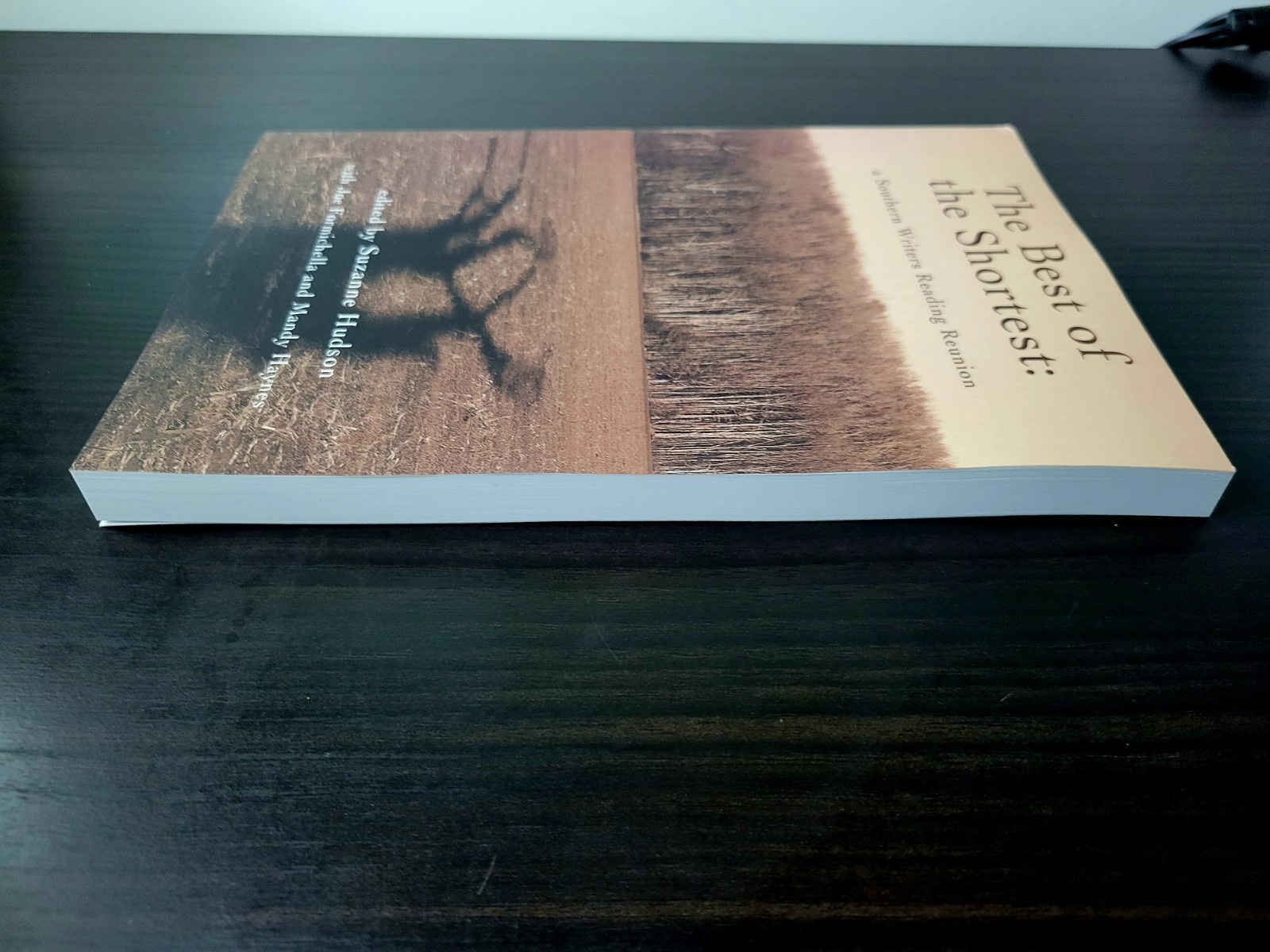 The Best of the Shortest: A Southern Writers Reading Reunion Paperback 2023