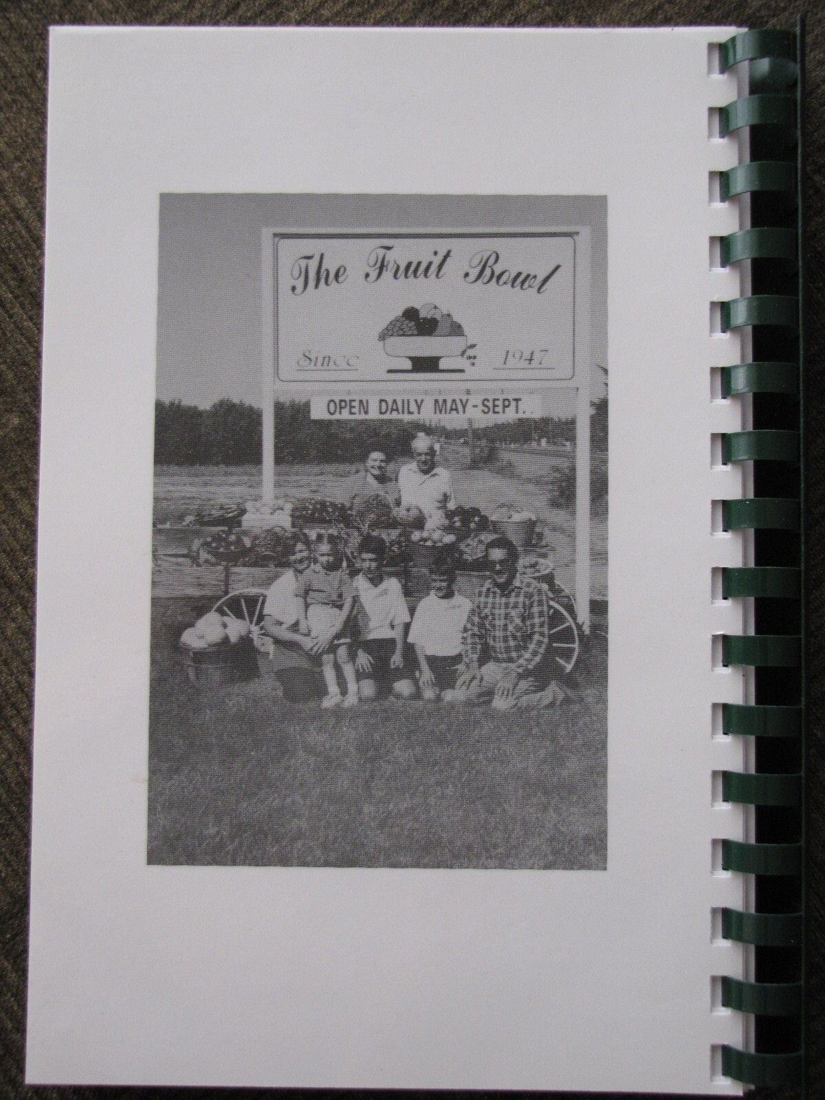FAVORITE RECIPES Variety Pack by Ina Lucchetti 244+ pages from “THE FRUIT BOWL”