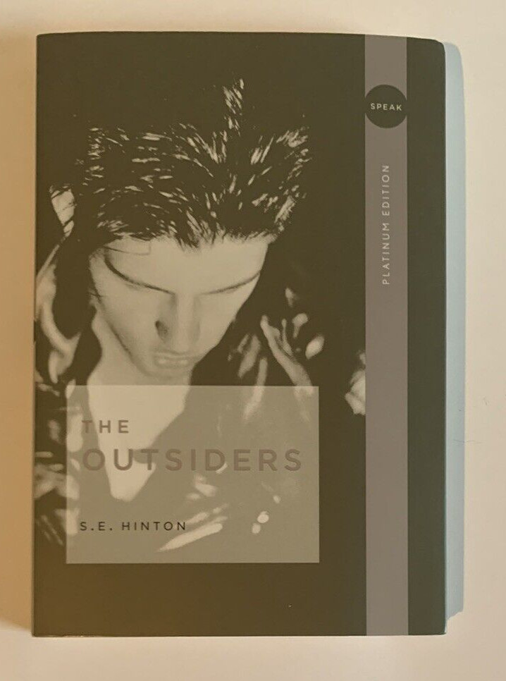The Outsiders Book Lot Alchemist The Stranger Cliff Notes