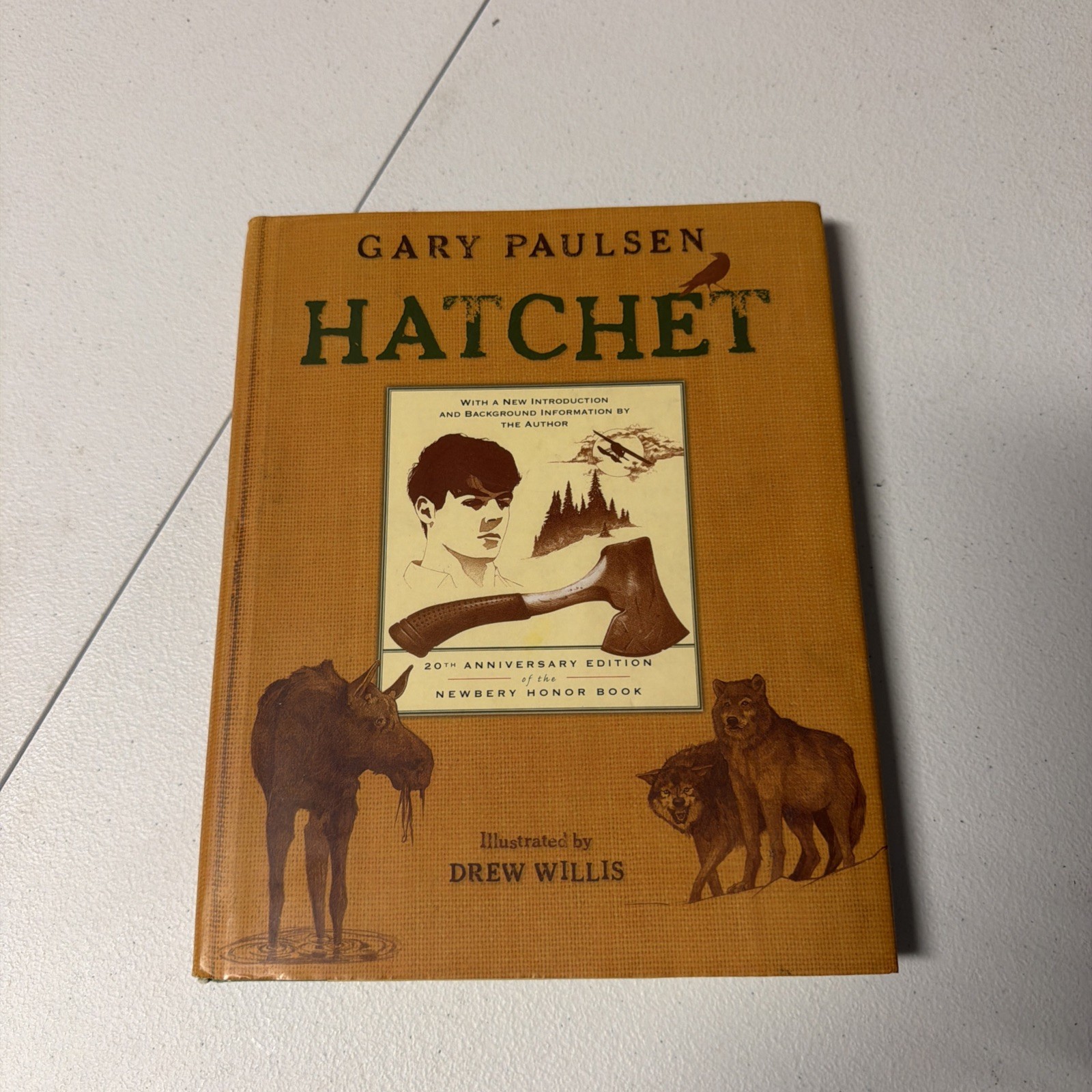 Hatchet by Gary Paulsen 20th Anniversary Edition 2007. Cond-acceptable