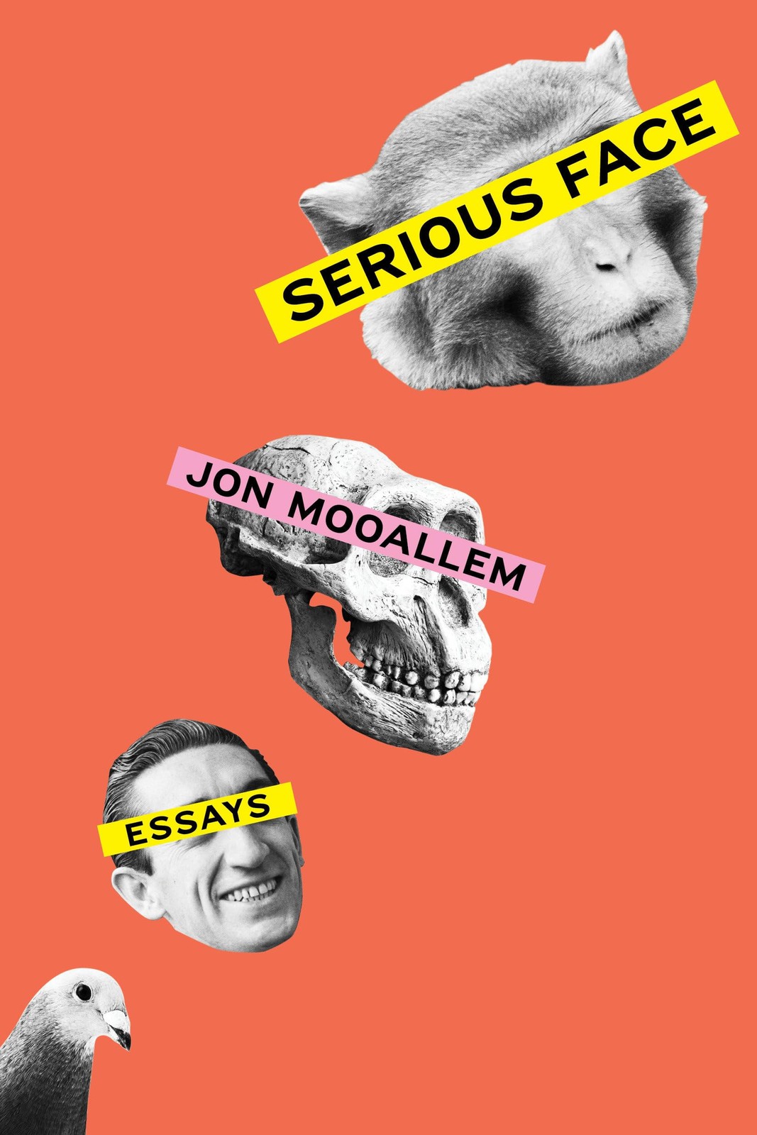 Serious Face: Essays – Mooallem, Jon – Good – See condition notes