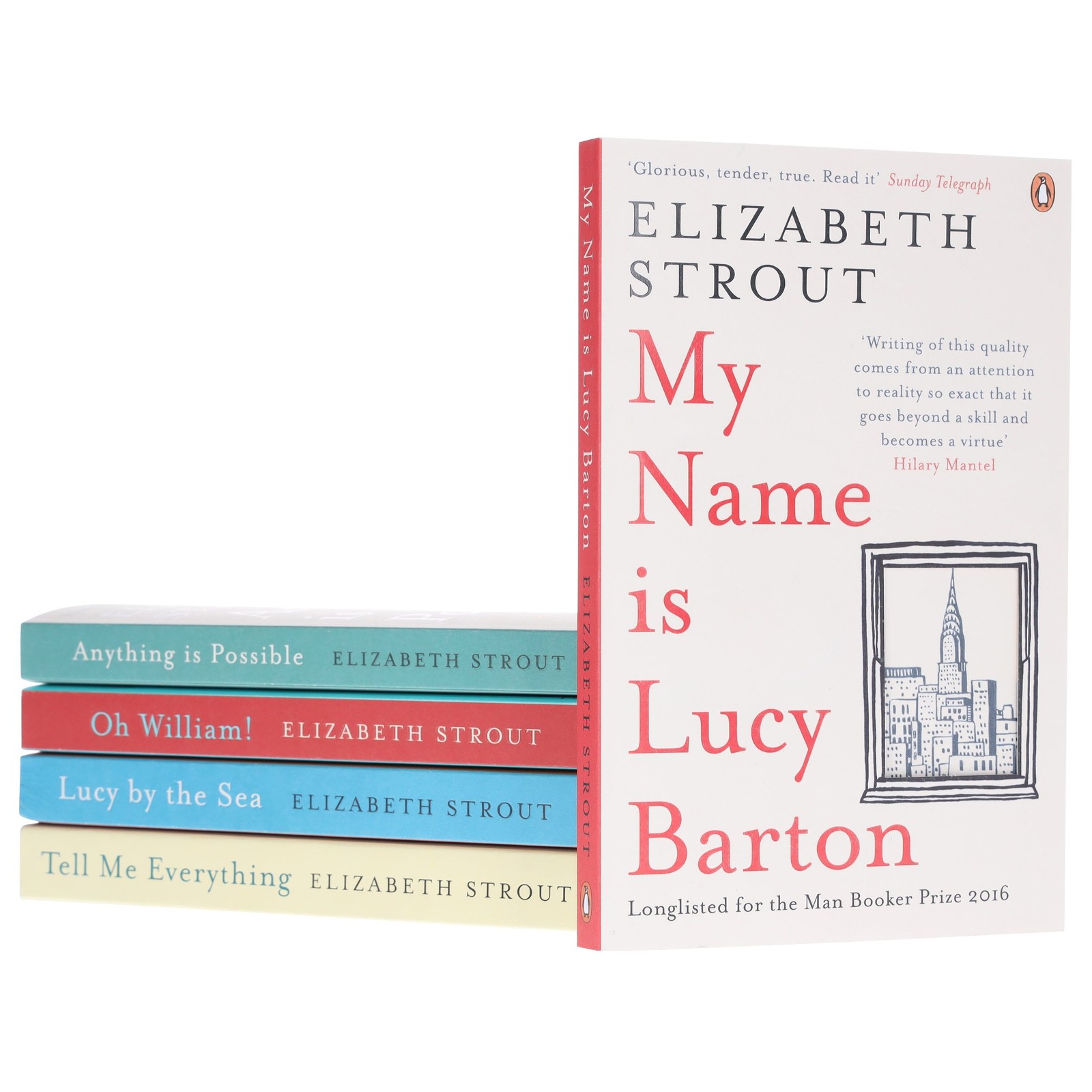 Amgash Series by Elizabeth Strout 5 Books Collection Set – Fiction – Paperback