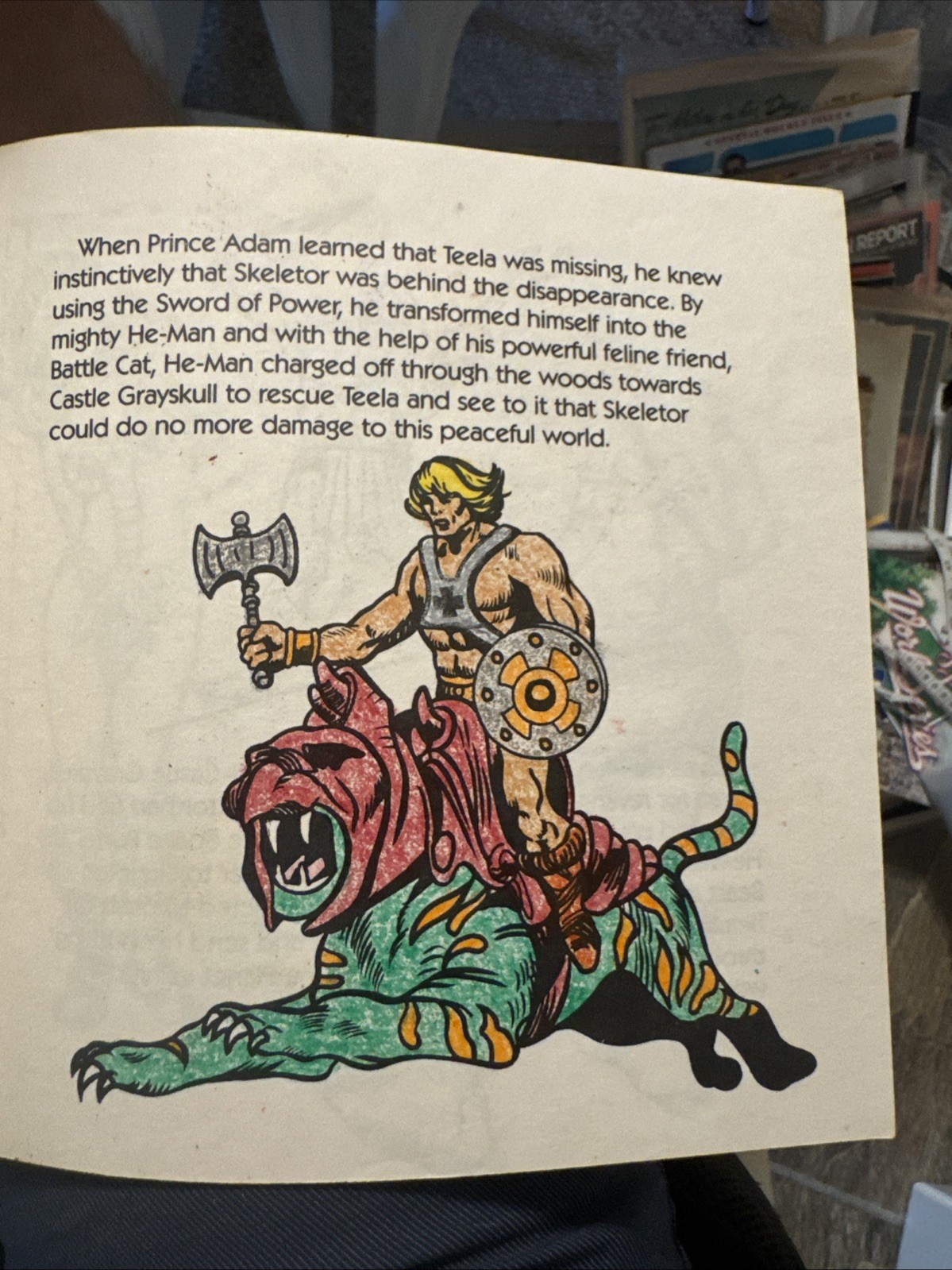 Lot Of 3 Vintage Masters Of The Universe Books From 1983 He-Man Skeletor
