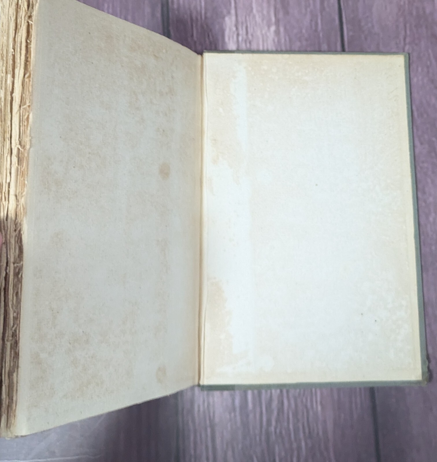Americanization of Edward Bok – SIGNED Limited Edition – Nimaha Edition 1922