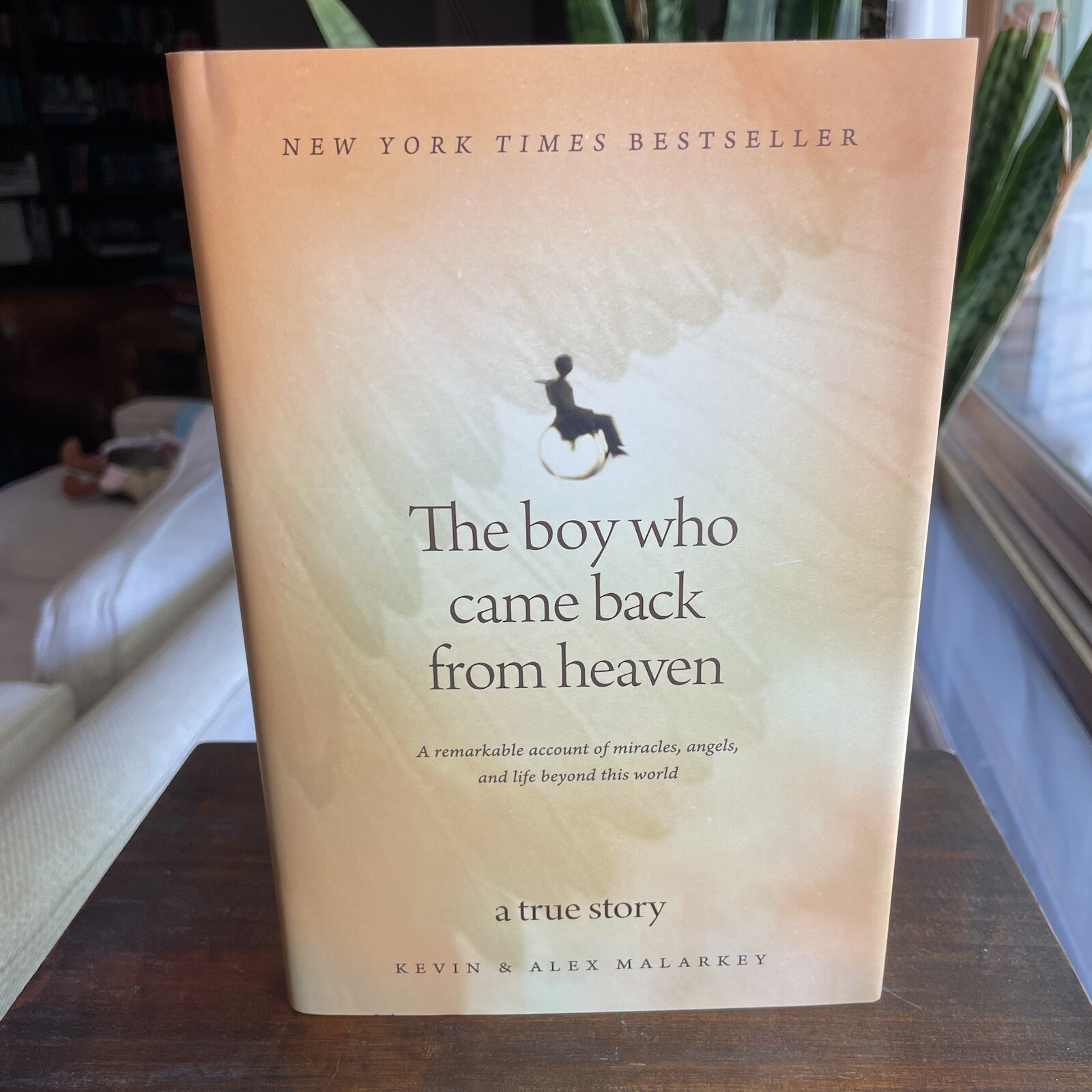 The Boy Who Came Back from Heaven : A Remarkable Account of Miracles, Angels,…