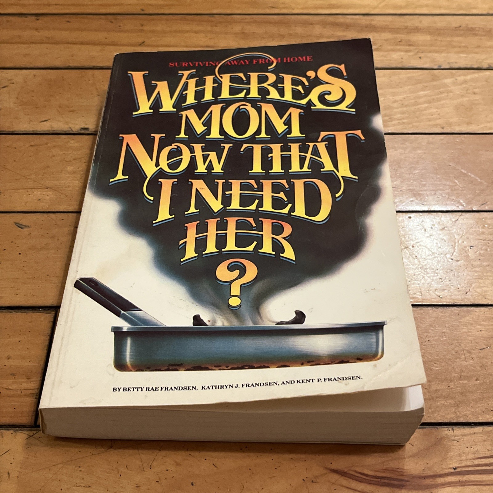 Where’s Mom Now That I Need Her? Surviving Away from Home PaperBack 25th Print