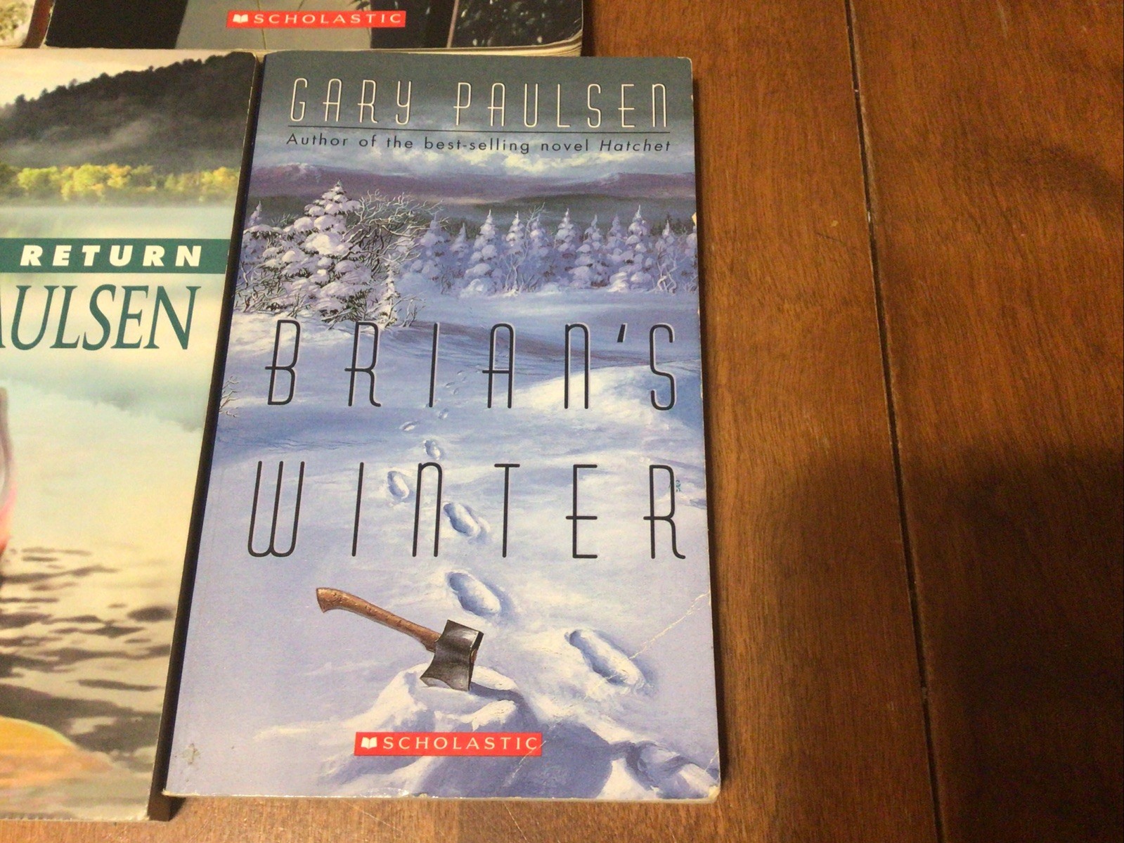 Complete Set Lot Of 5 BRIAN Books Paulsen HATCHET River HUNT Return WINTER (L1)