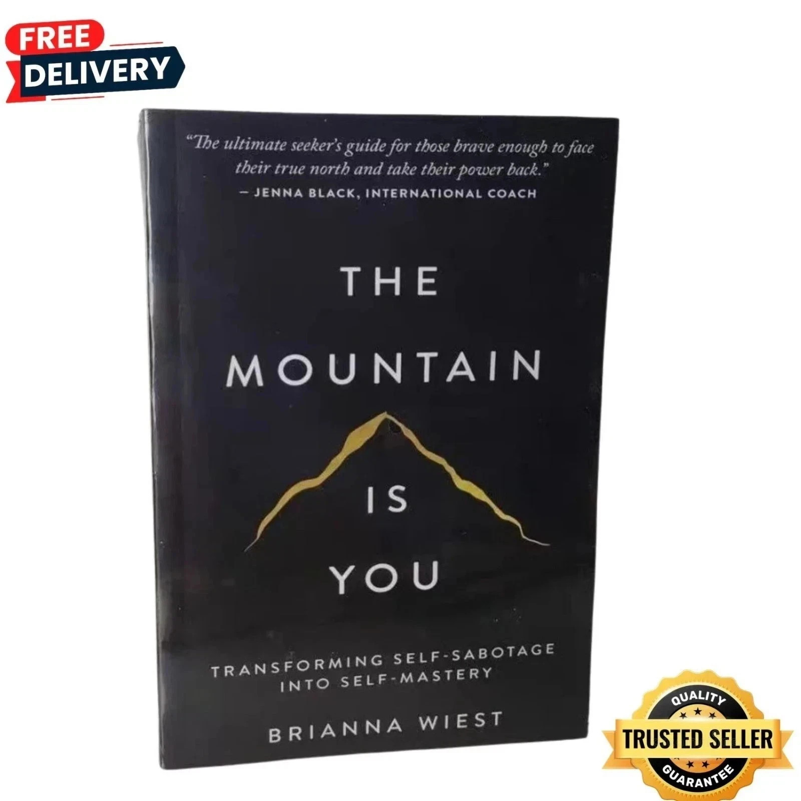 The Mountain is you by Brianna Wiest Paperback Book – Free Shipping US