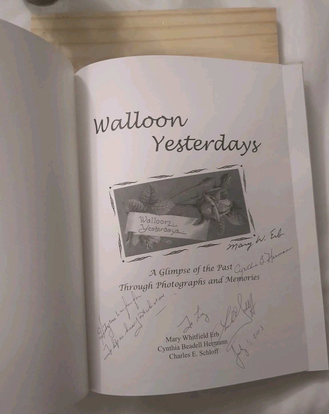 Walloon Yesterdays 2003 MULTI-SIGNED by Authors Erb Hermann Schloff Michigan HC