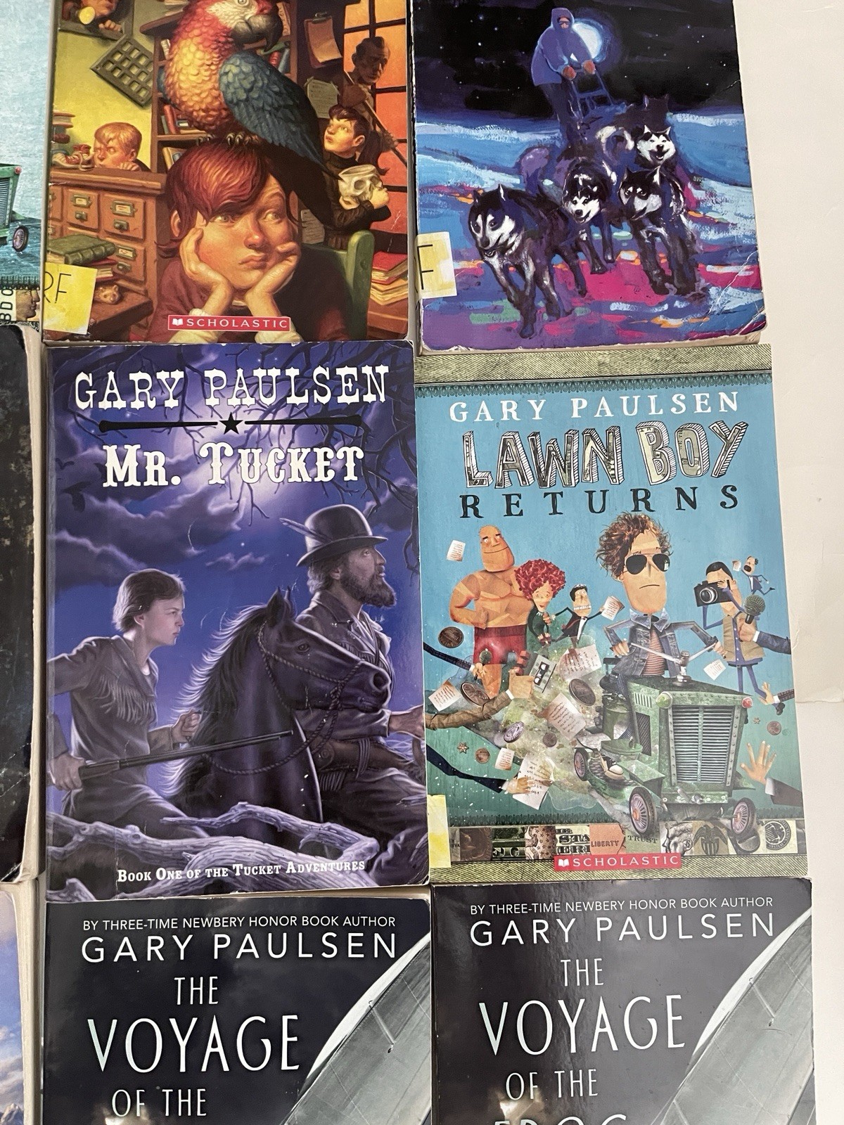 Lot of 23 Gary Paulsen Books- Lawn Boy- Hatchet -Tracker – Frog – Tucket –