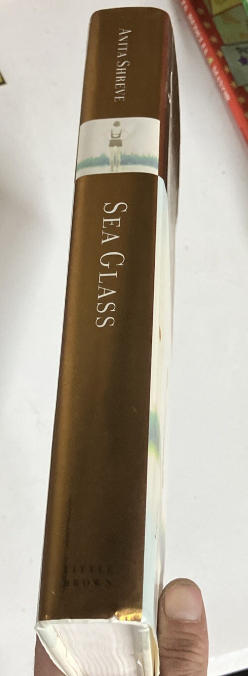 Sea Glass Anita Shreve 2002 Hardcover First Edition with DJ