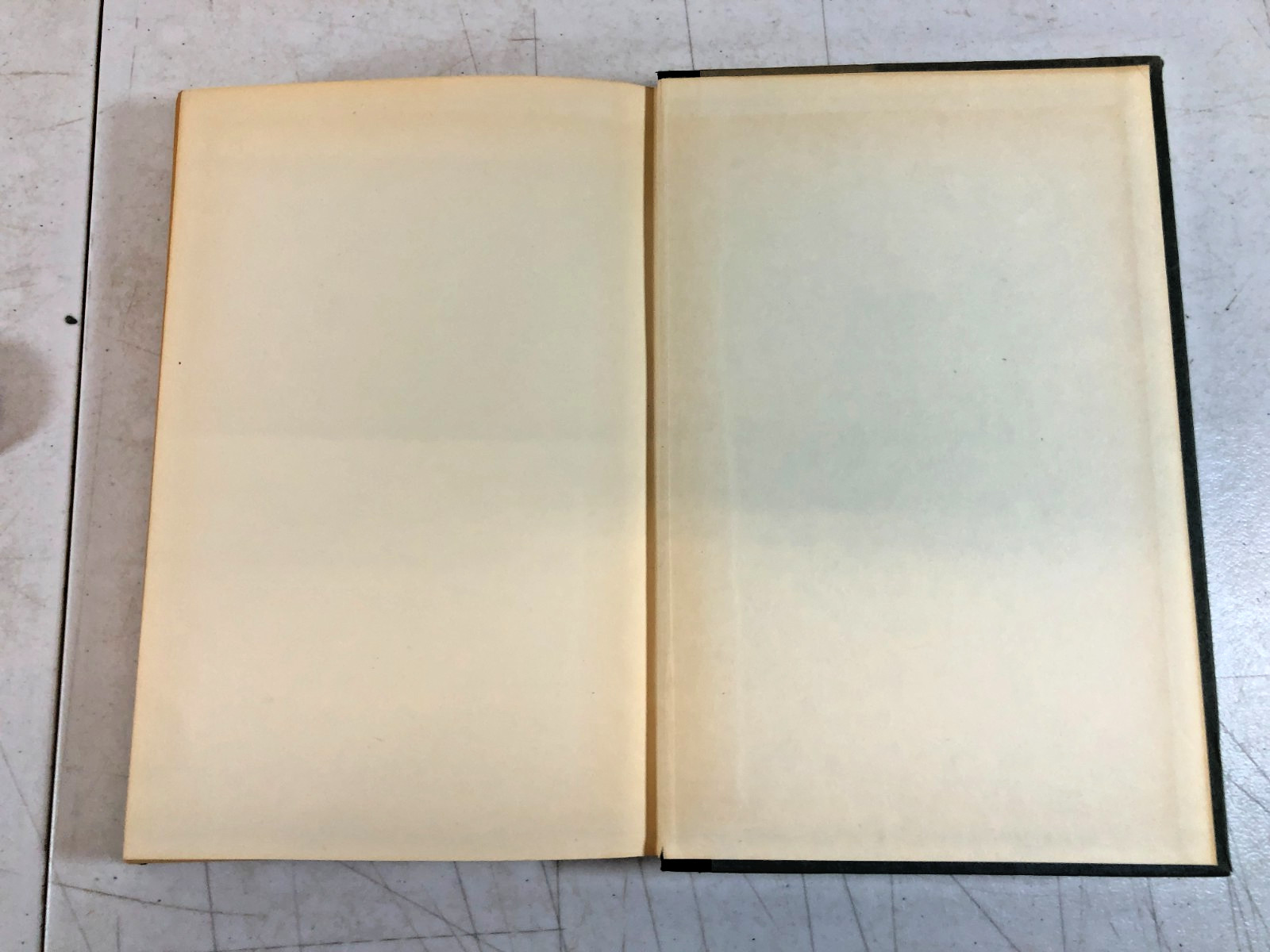 The Human Condition, Hannah Arendt 1958, E-104