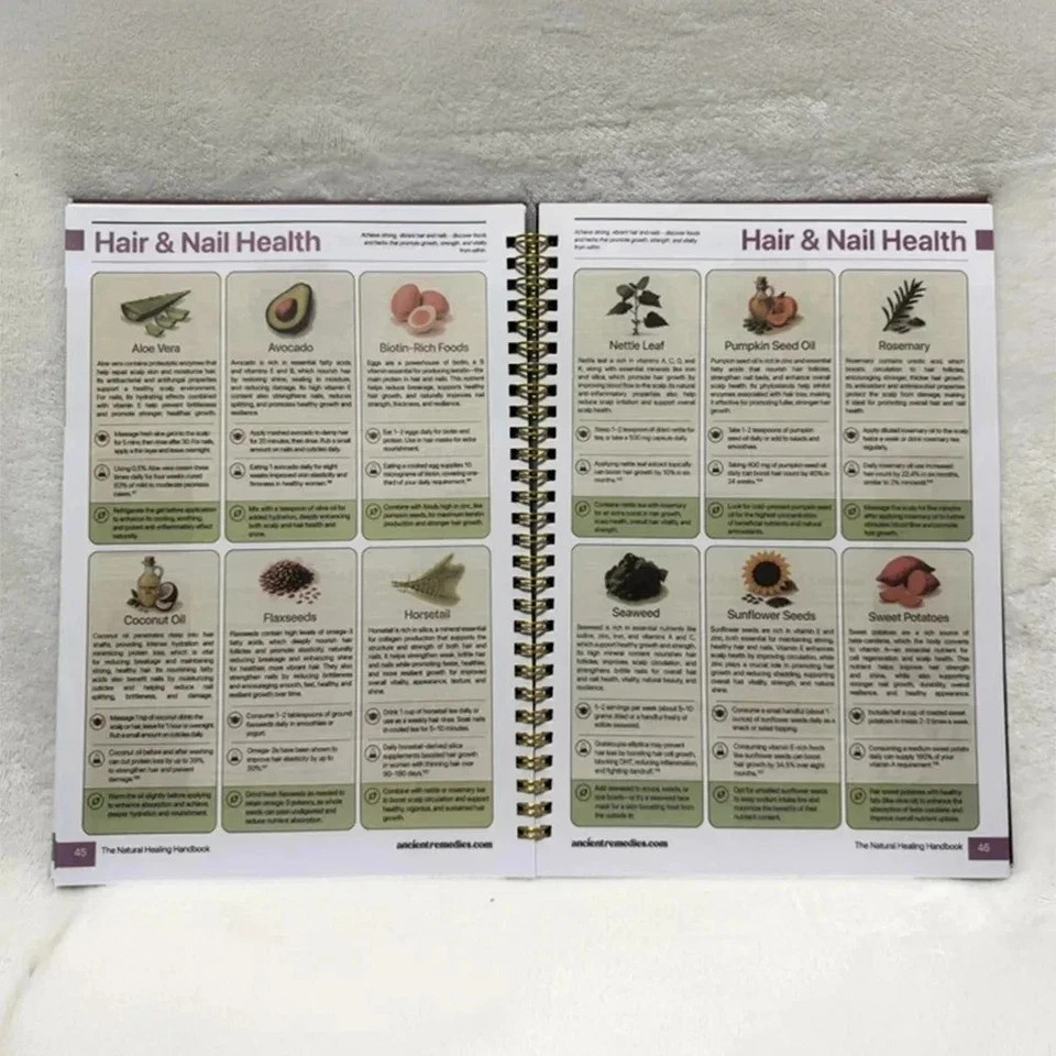 The Natural Healing Handbook, Spiral-Bound Guide for Herbal Remedies USA